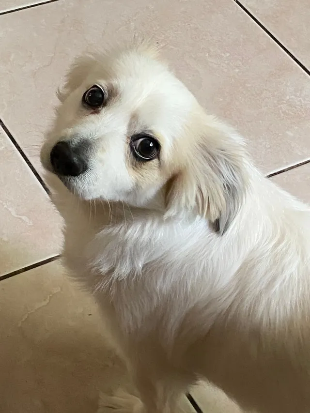 Milo - SW 63rd Way, Pompano Beach