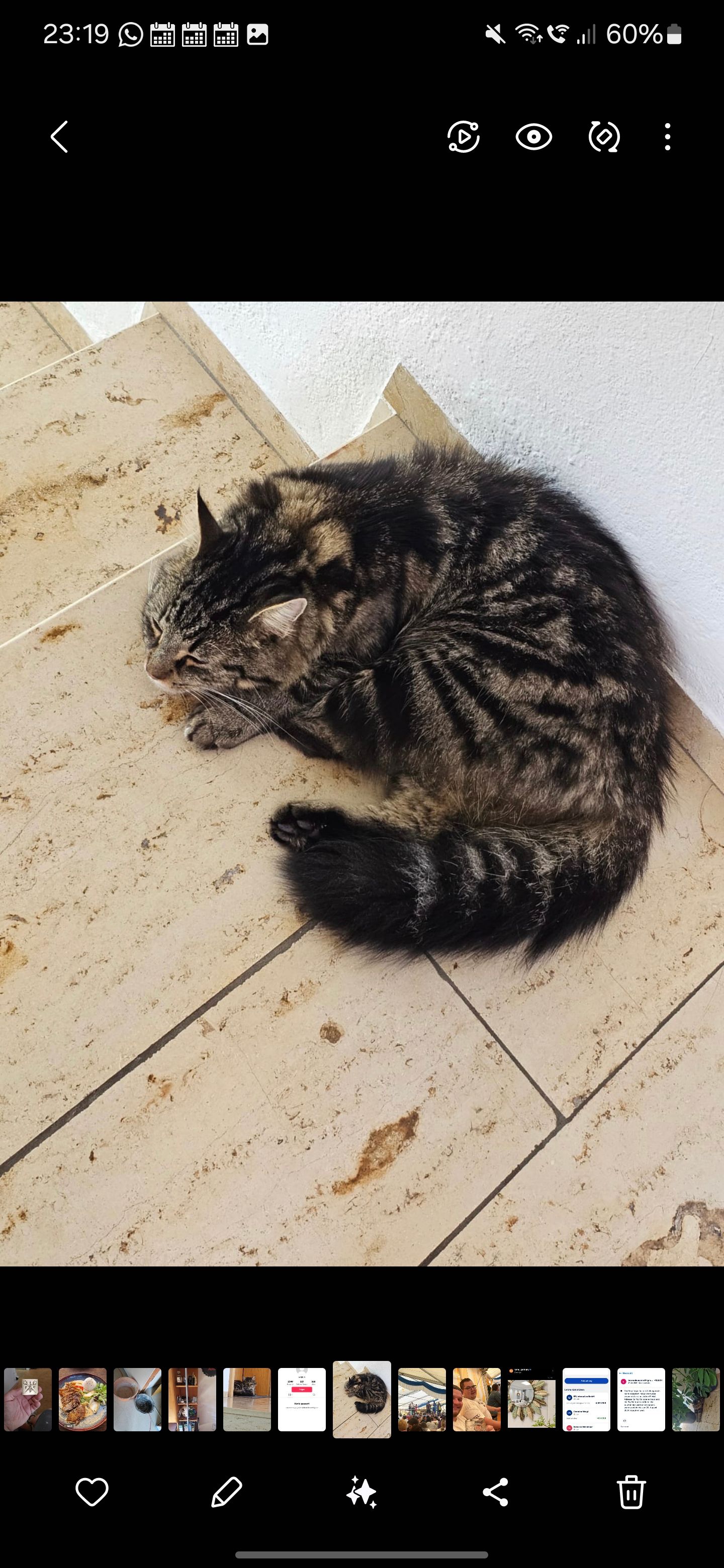 Spike - Schulweg, Burgheim