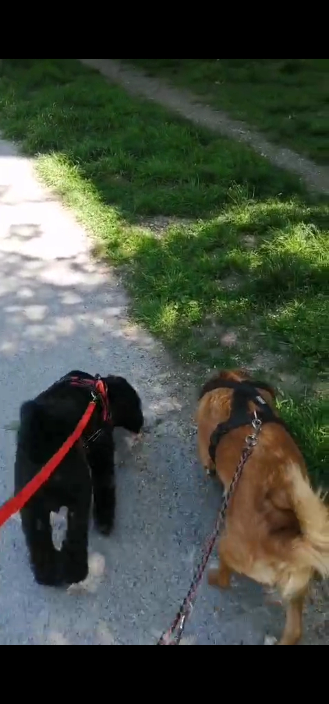 Annie - Taborstraße, Wien