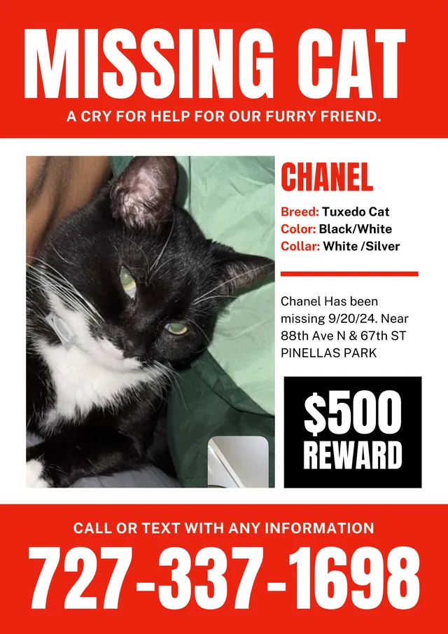 Chanel - 88th Ave N, Pinellas Park