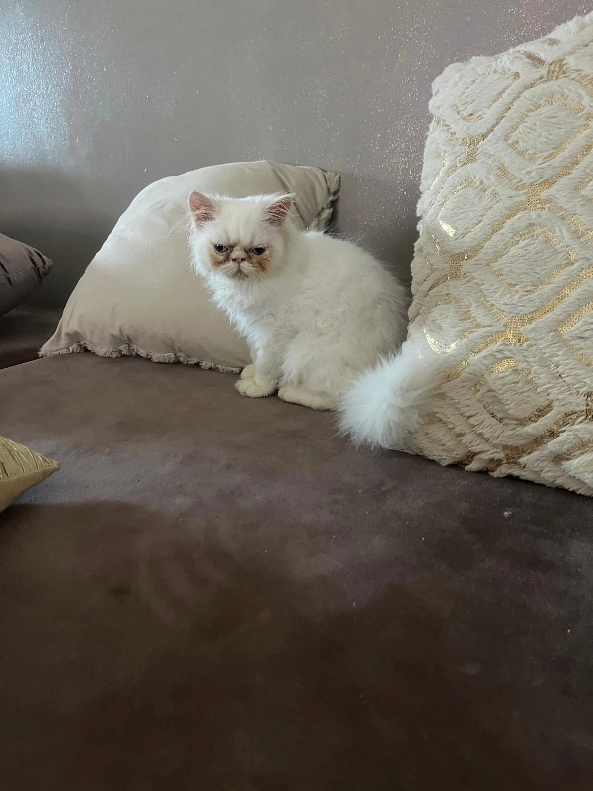 Yuki - Allée Gaston Bonnier, Bourgoin-Jallieu