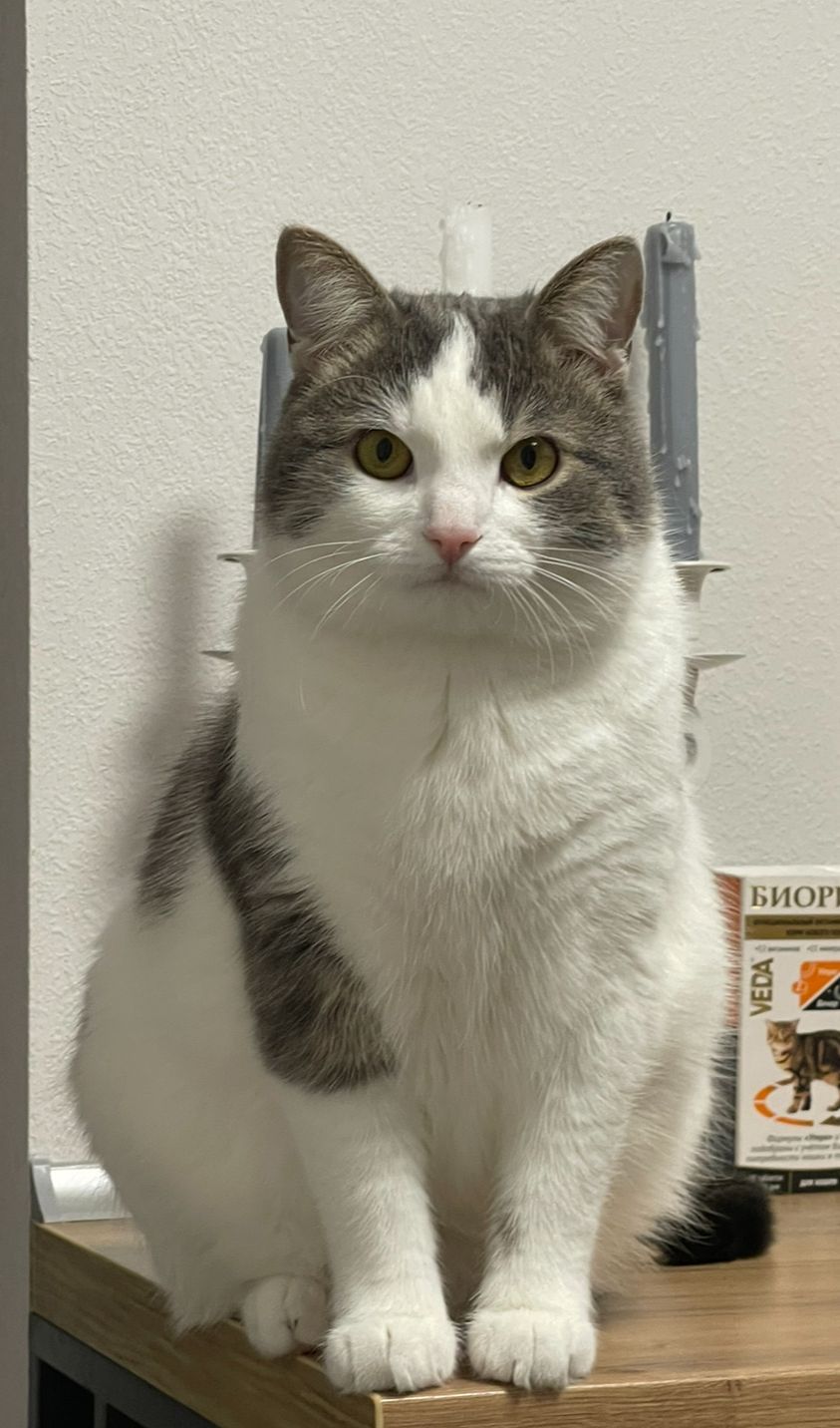 Vasja - Hun utca, Fonyód