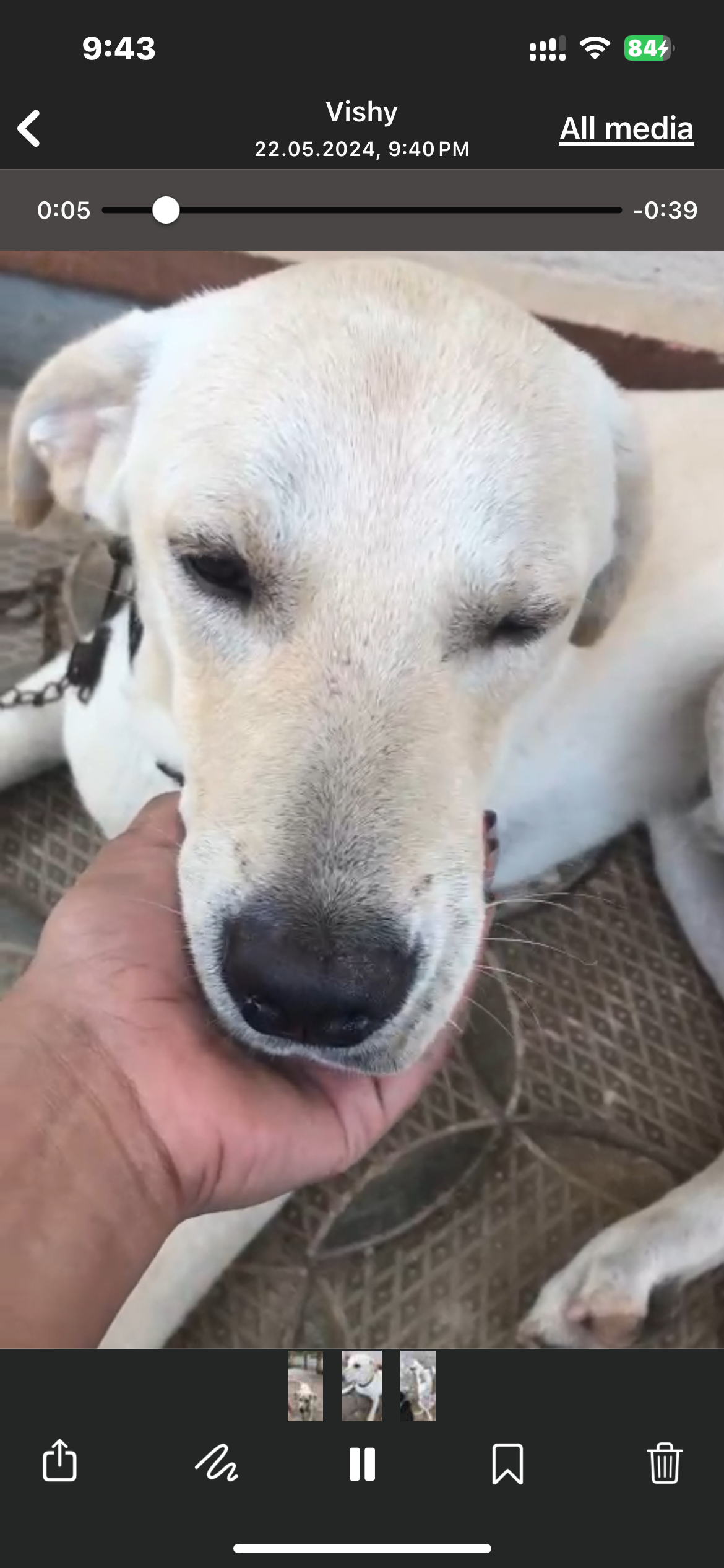 Pablo  - Ambalapady Road, Udupi
