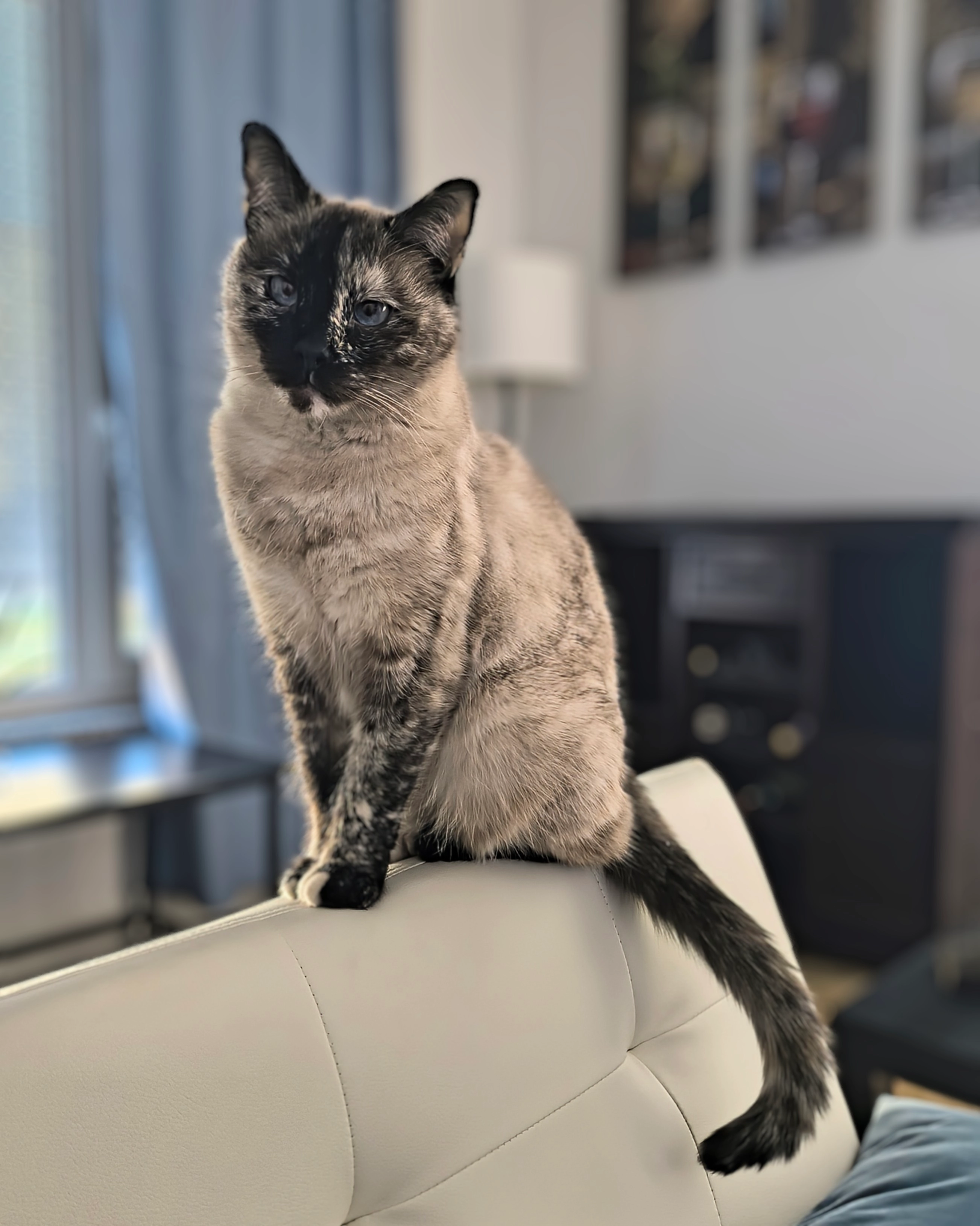 BiBi - Martin-Luther-Straße, Grafenwöhr