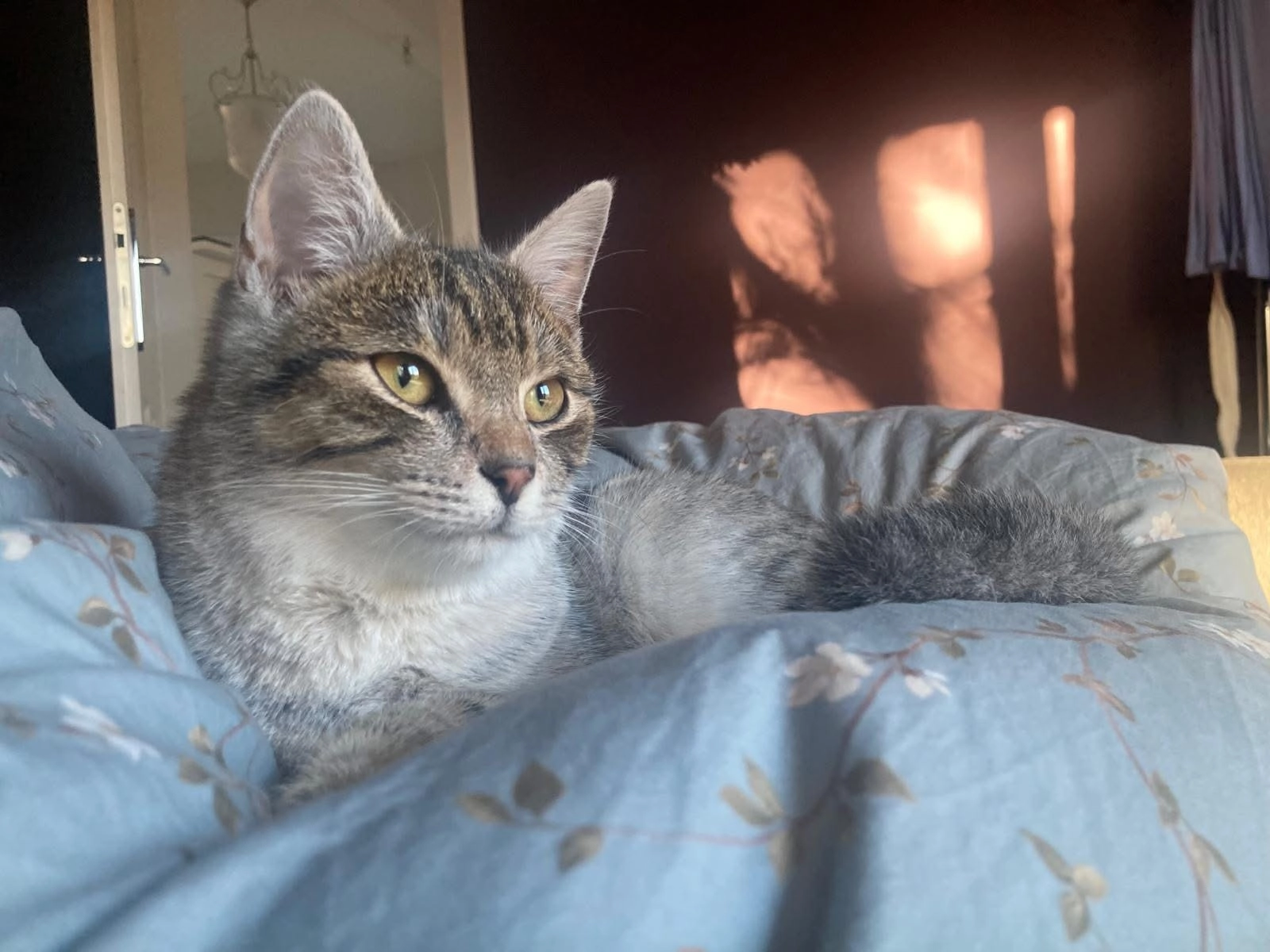 Ludwig - Mühlweg 14, Tulbing