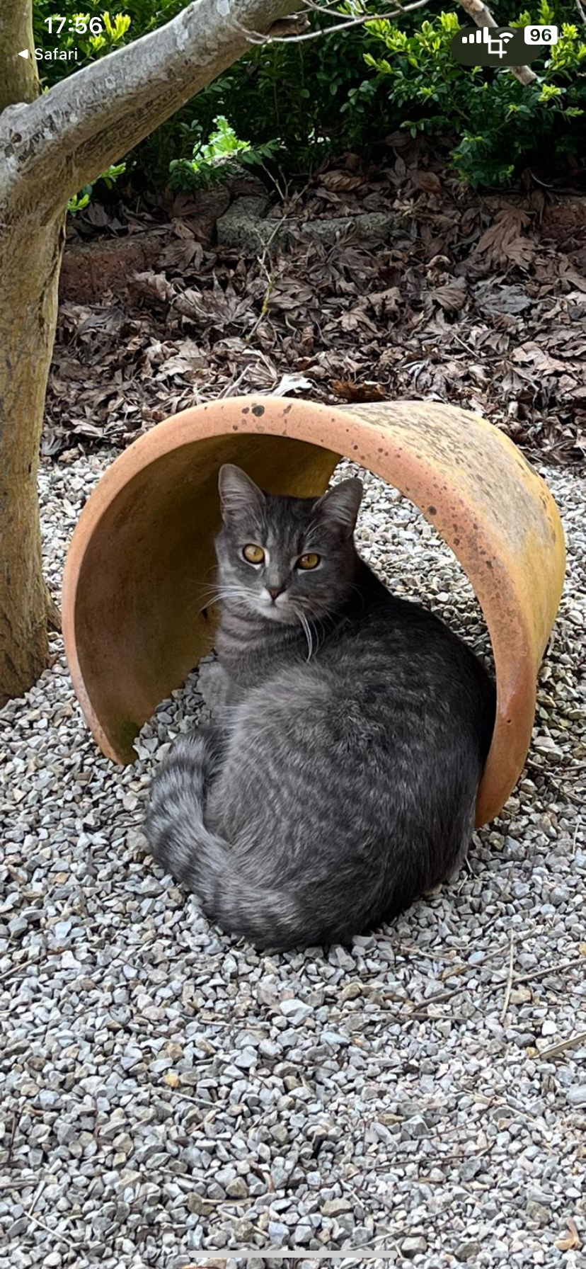 Gigi - Felsenstraße, Beilngries