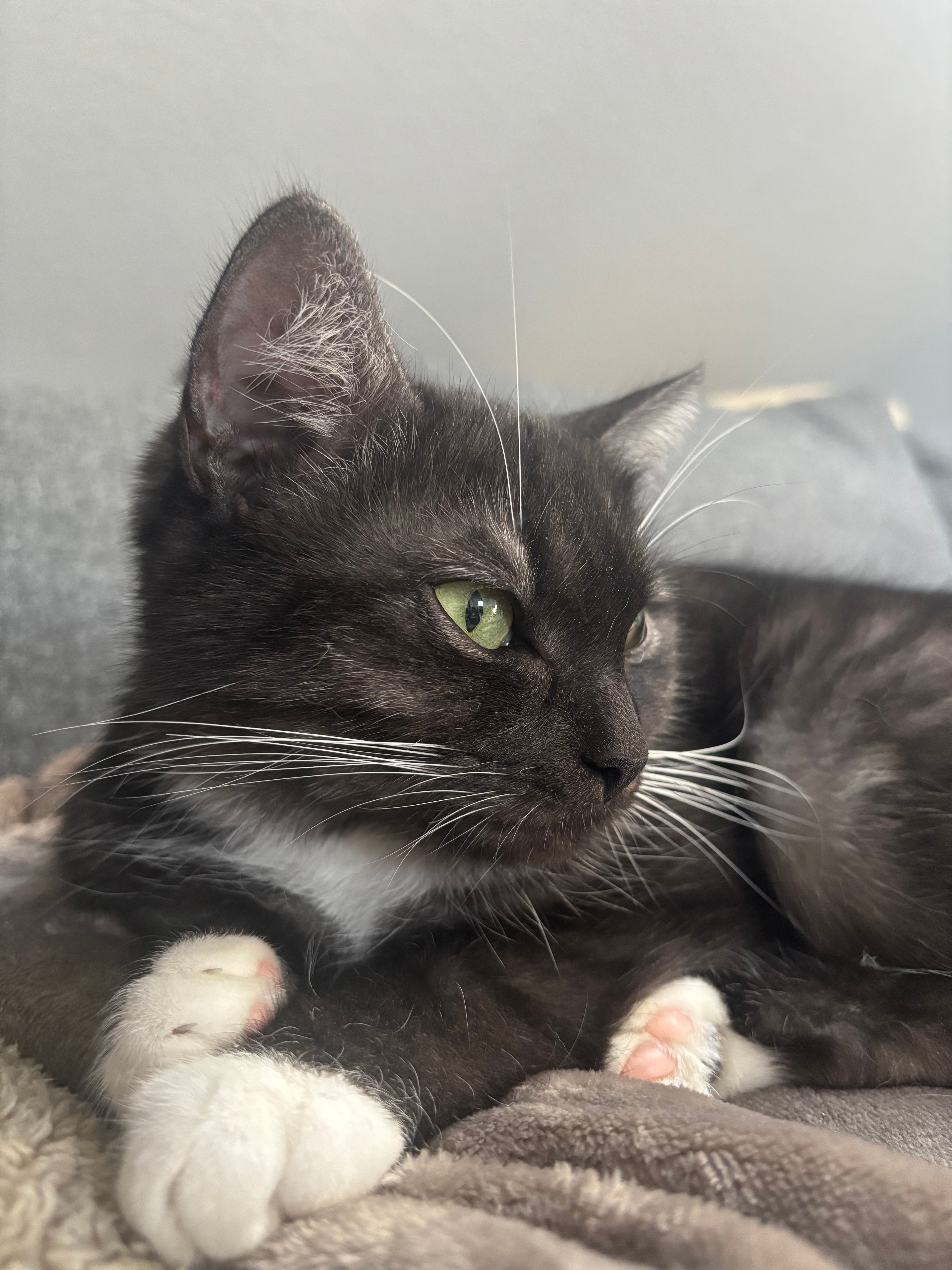 Simba - Nachtigallenweg, Warendorf