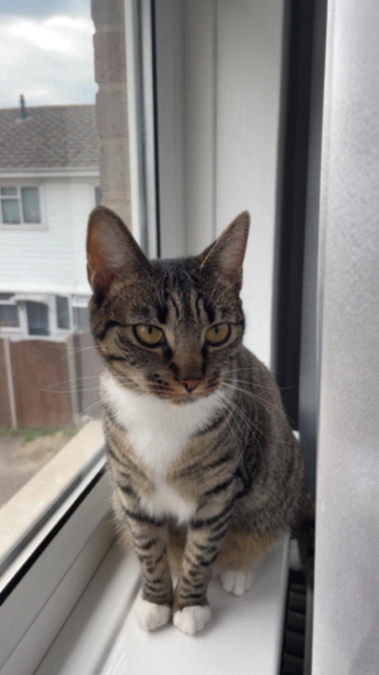 Tyga - Sancroft Close, London