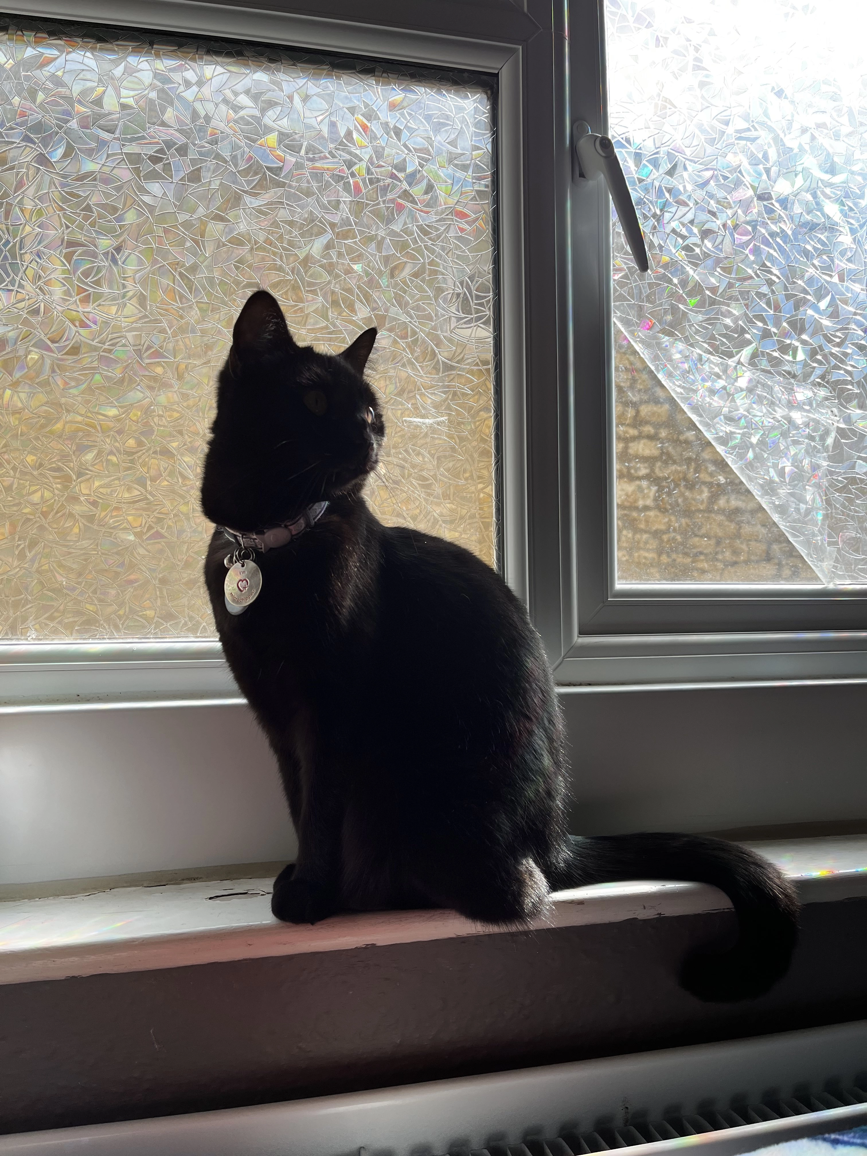 Squishy - Chapel Street, Stroud