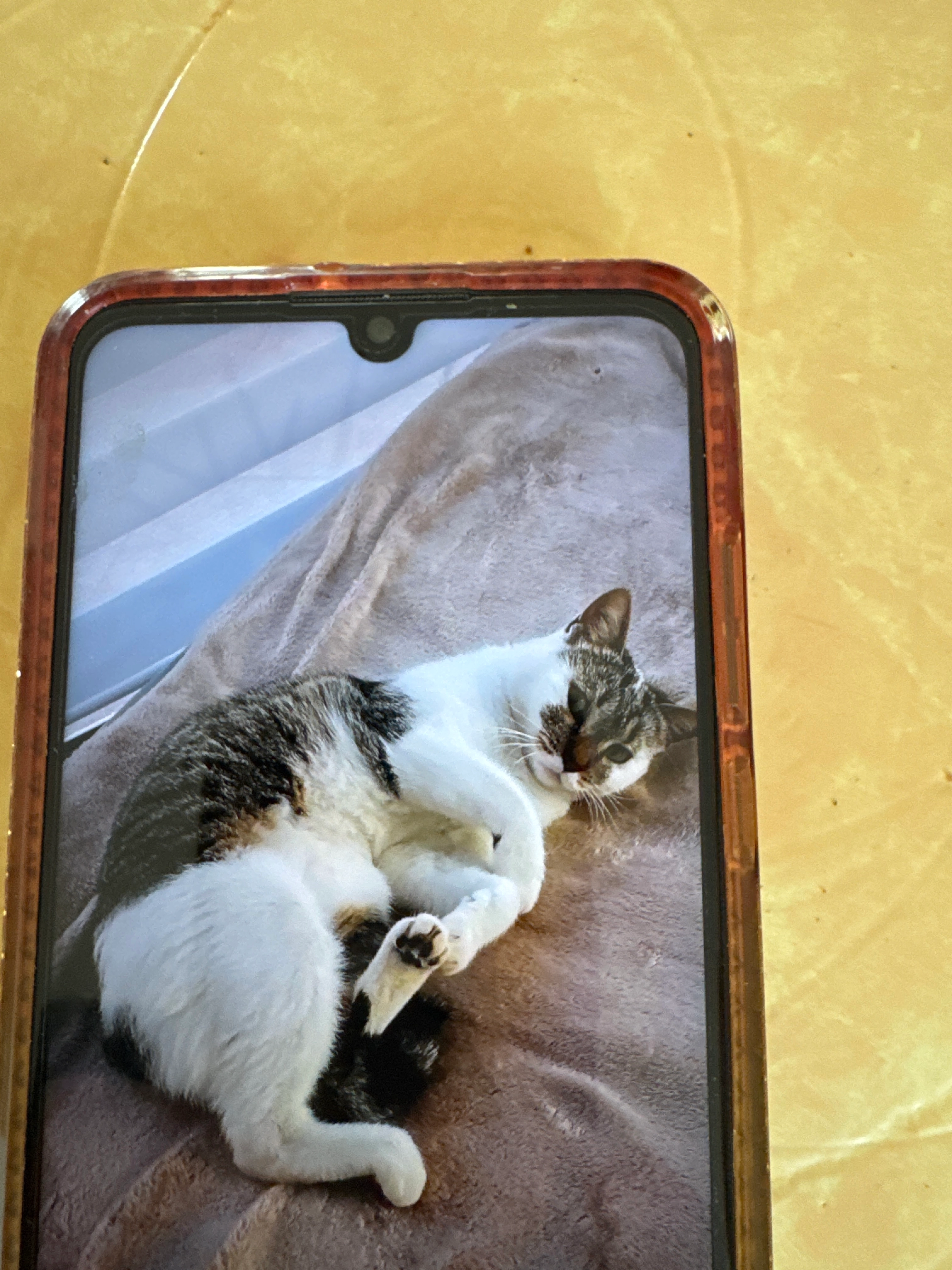 Crispy - Chemin Du Romany, Mèze