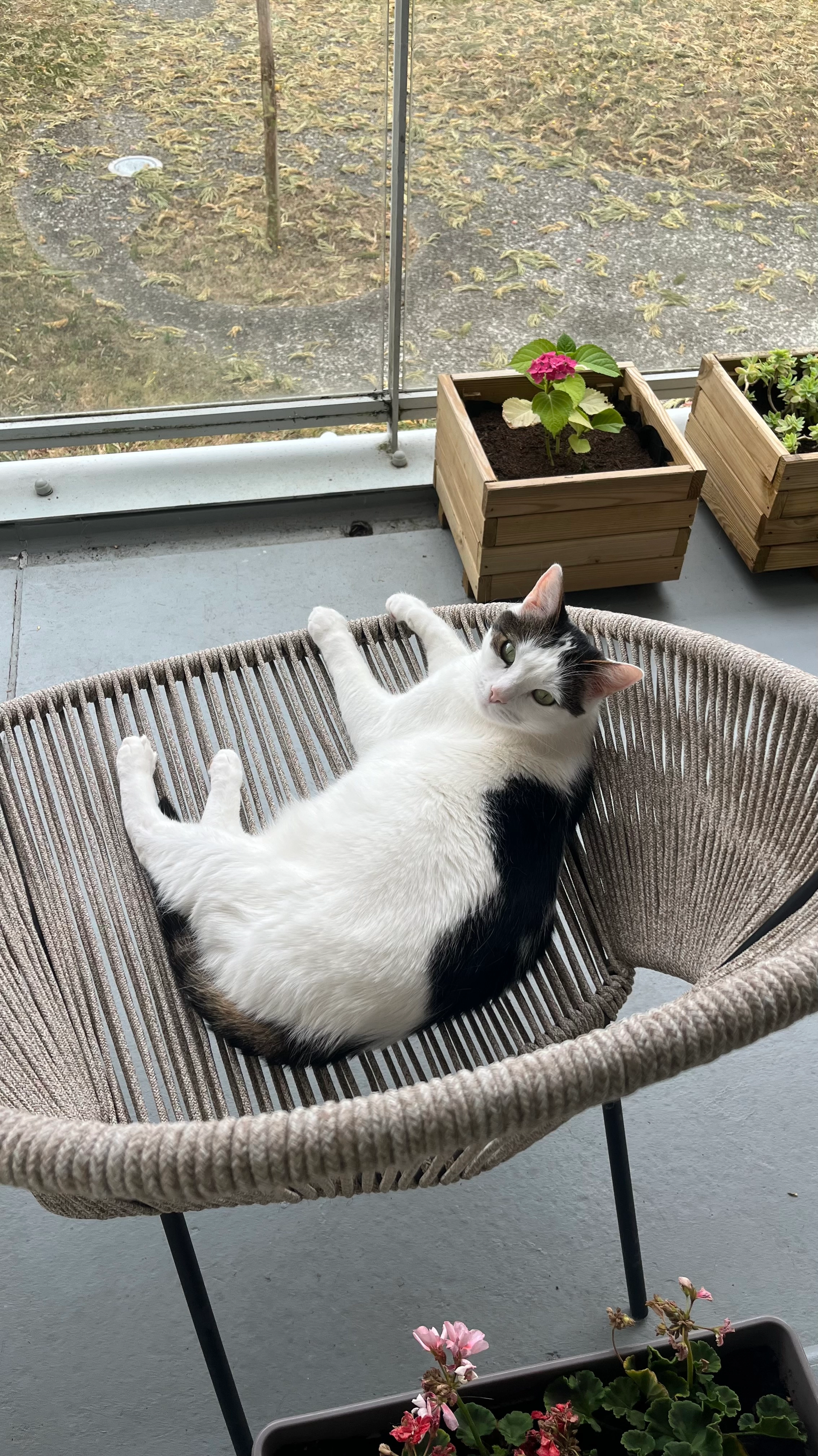 Kirua  - Rue Louis Bonnigal, Vertou