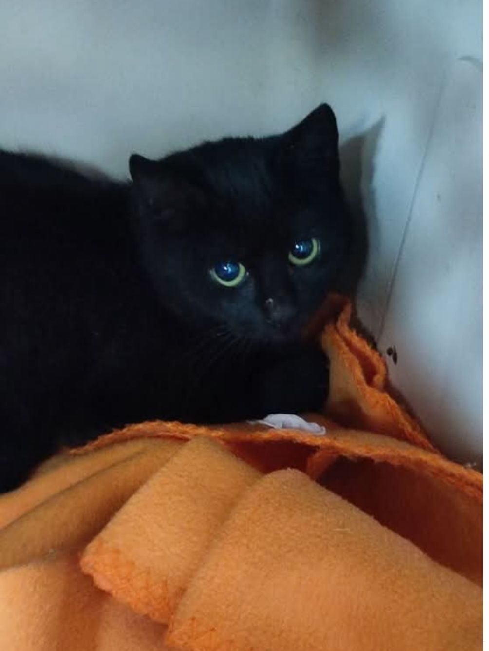 Poseído - Polígono las Pedreñas Hortichuela, Torre-Pacheco