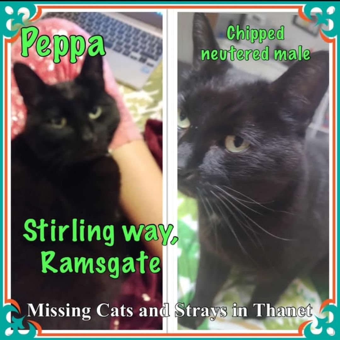 peppa - Stirling Way, Ramsgate