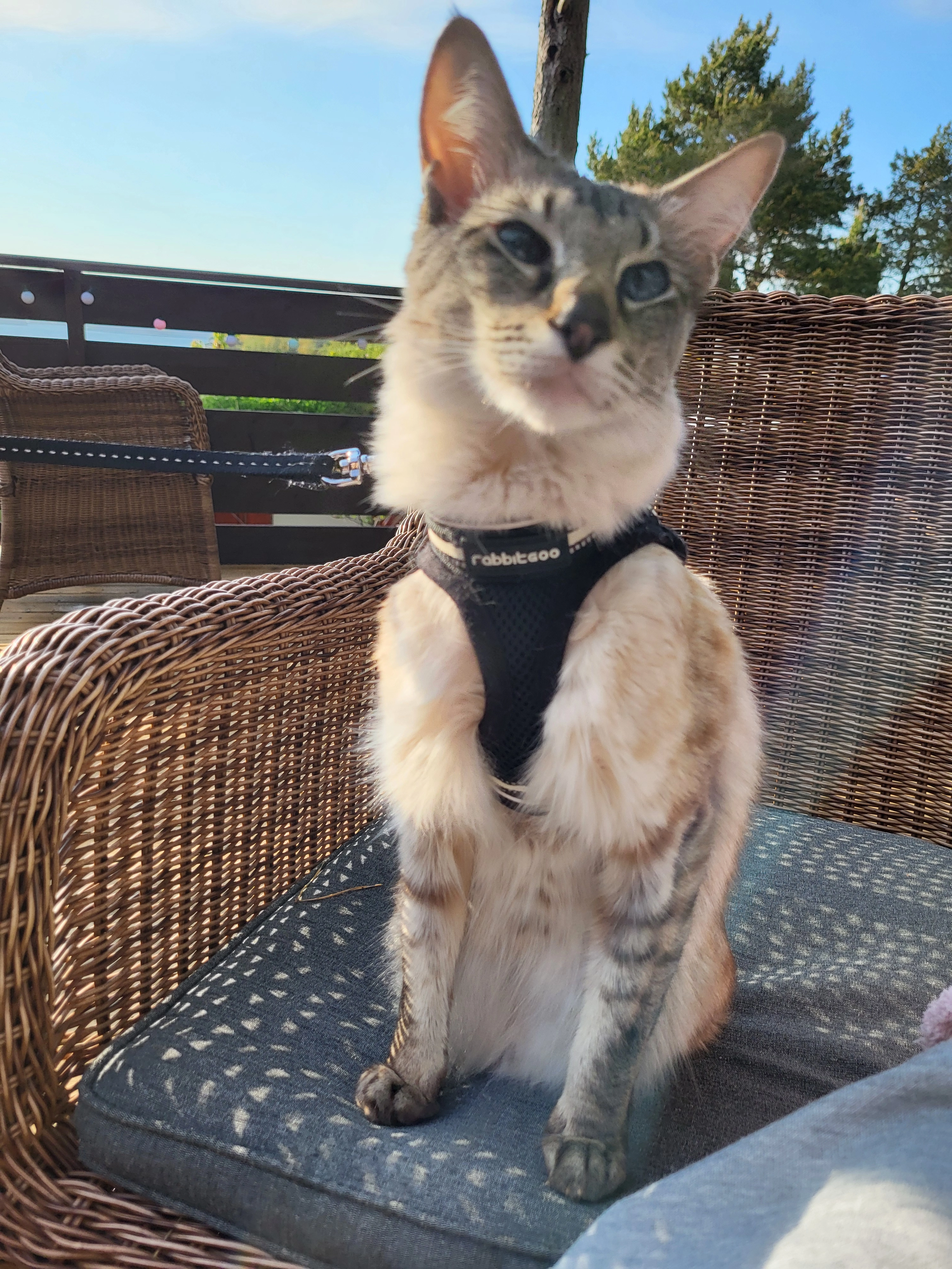 Haven - Leipziger Straße, Erfurt