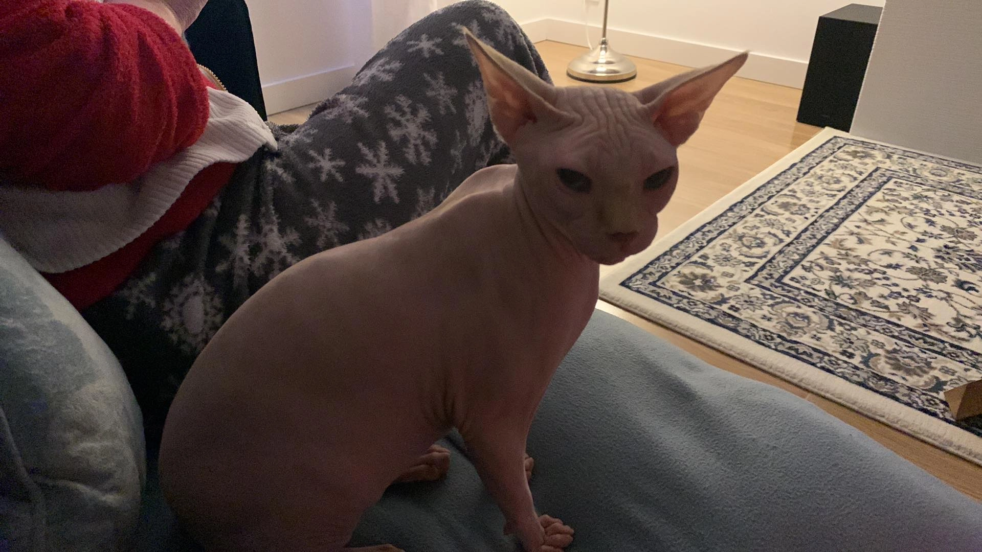 Deni - Calle Magdalena, Noáin