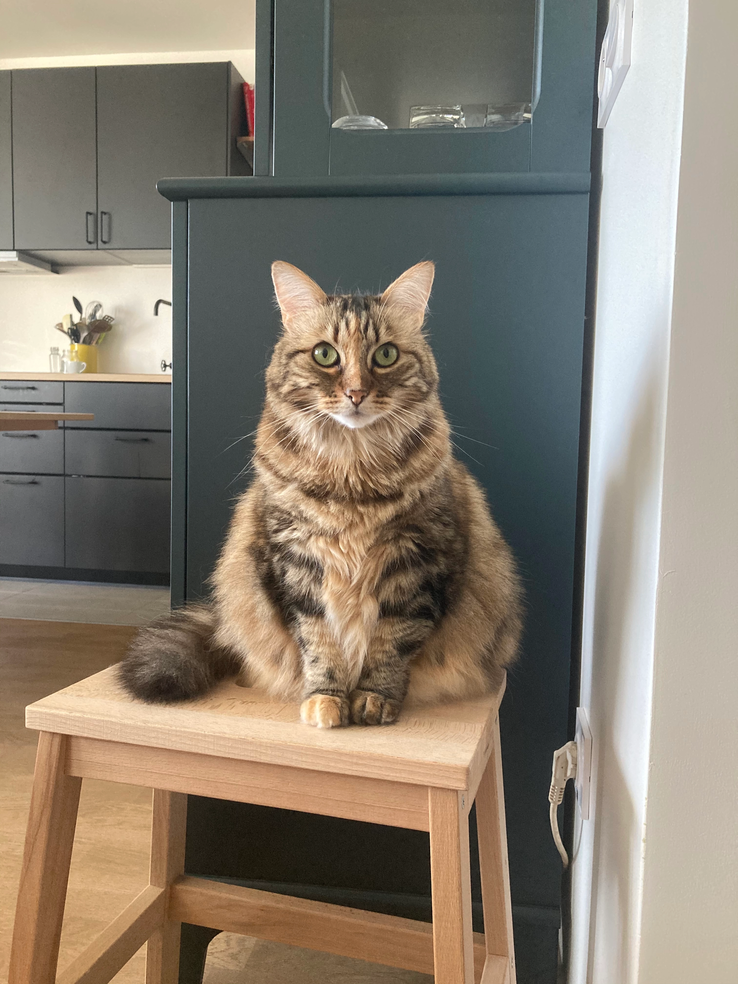 Nugget - Rue Degas, Ballan-Miré