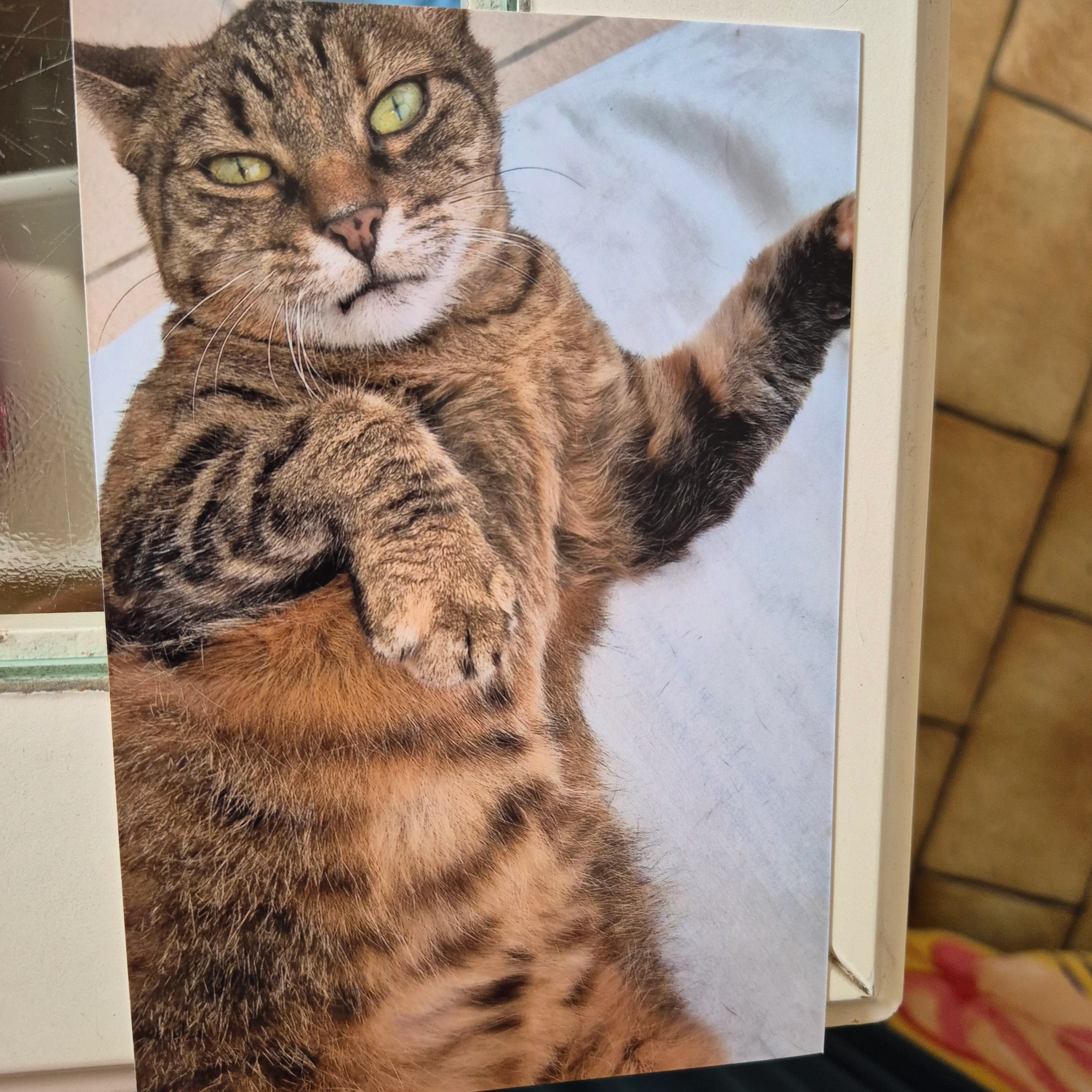 Lili  - Rue Bois l'Evêque, Colfontaine