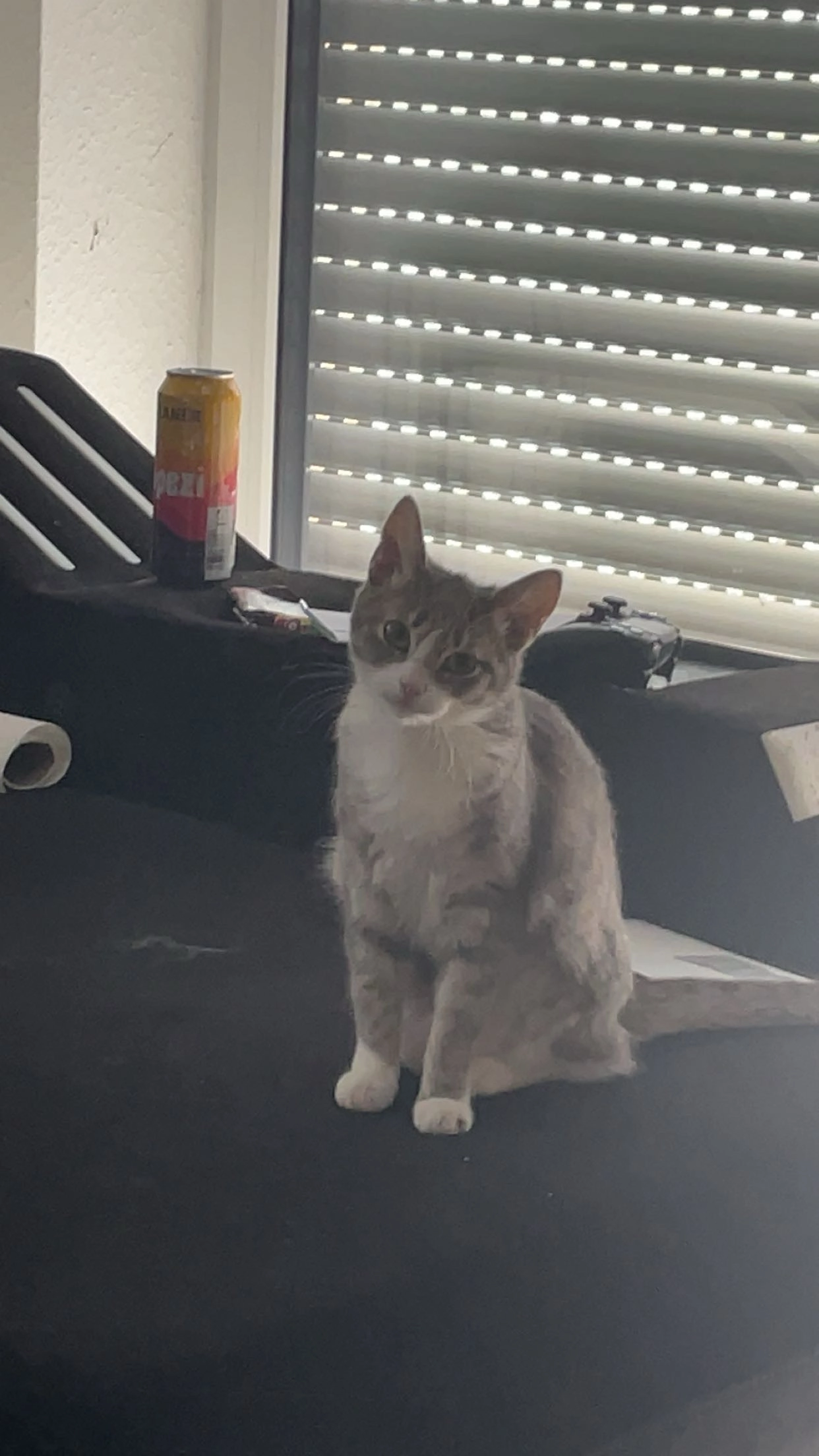 Mika - Juiststraße, Molbergen