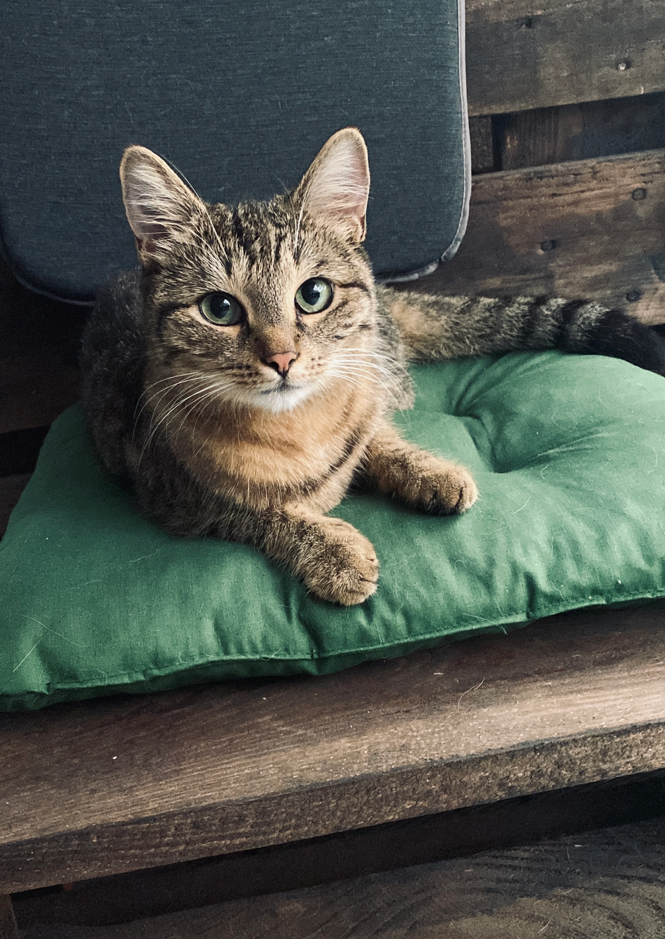 Minnie - Wiesentalstraße, Senden