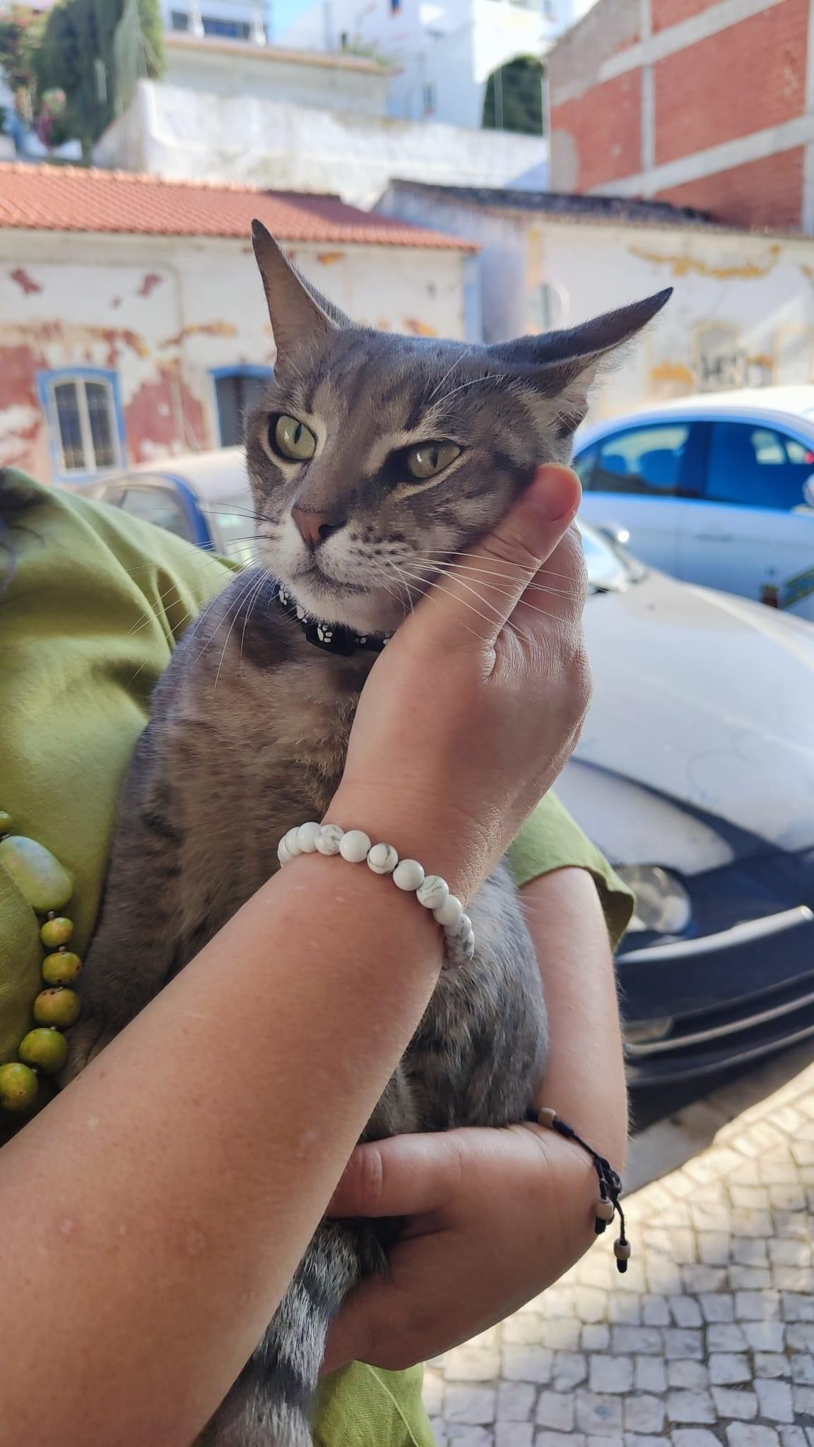 Chaise - Rua Do Movimento Das Forças Armadas (Mfa), Albufeira