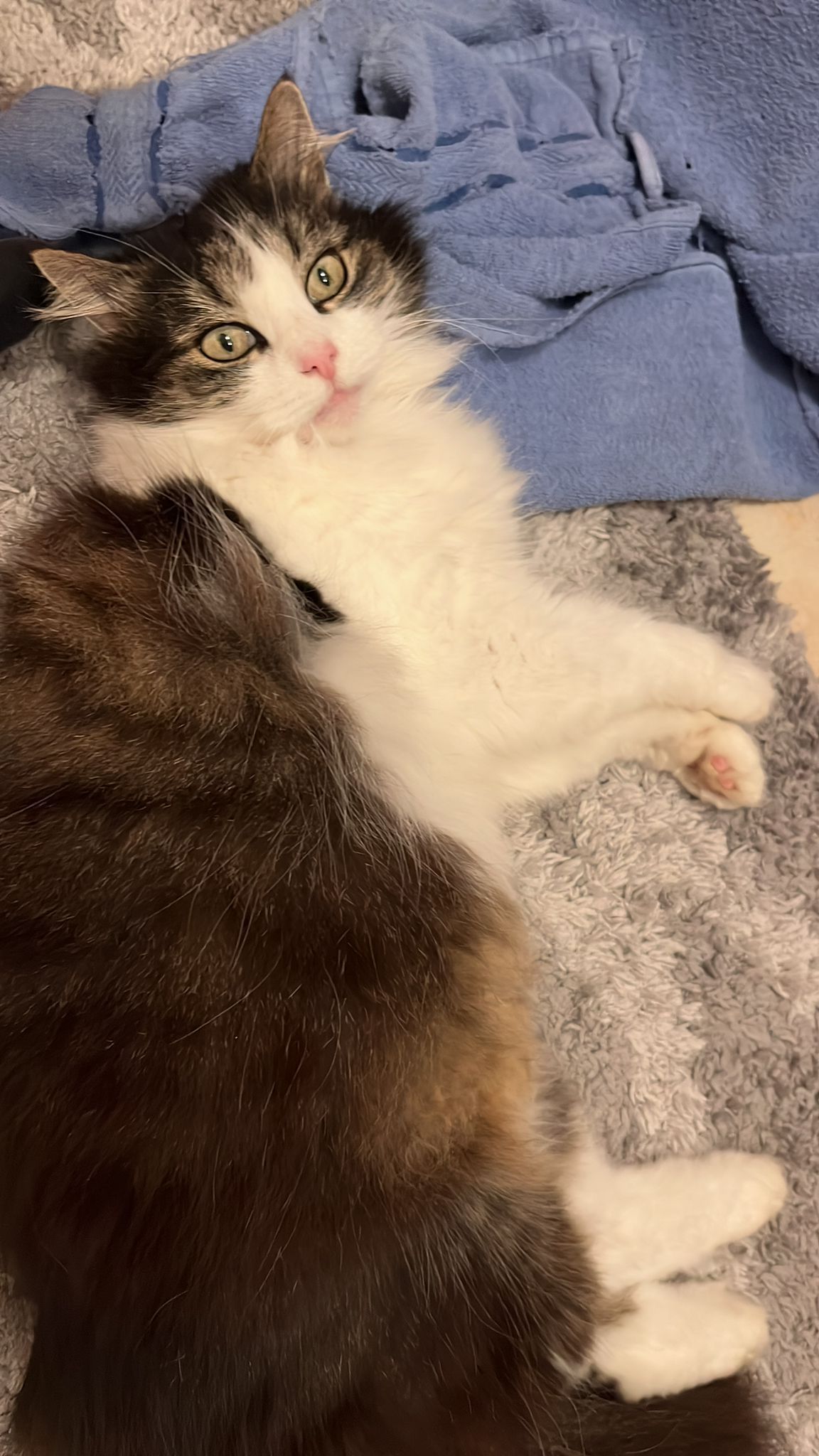 Biec - Ernst-Thun-Straße, Mühldorf am Inn