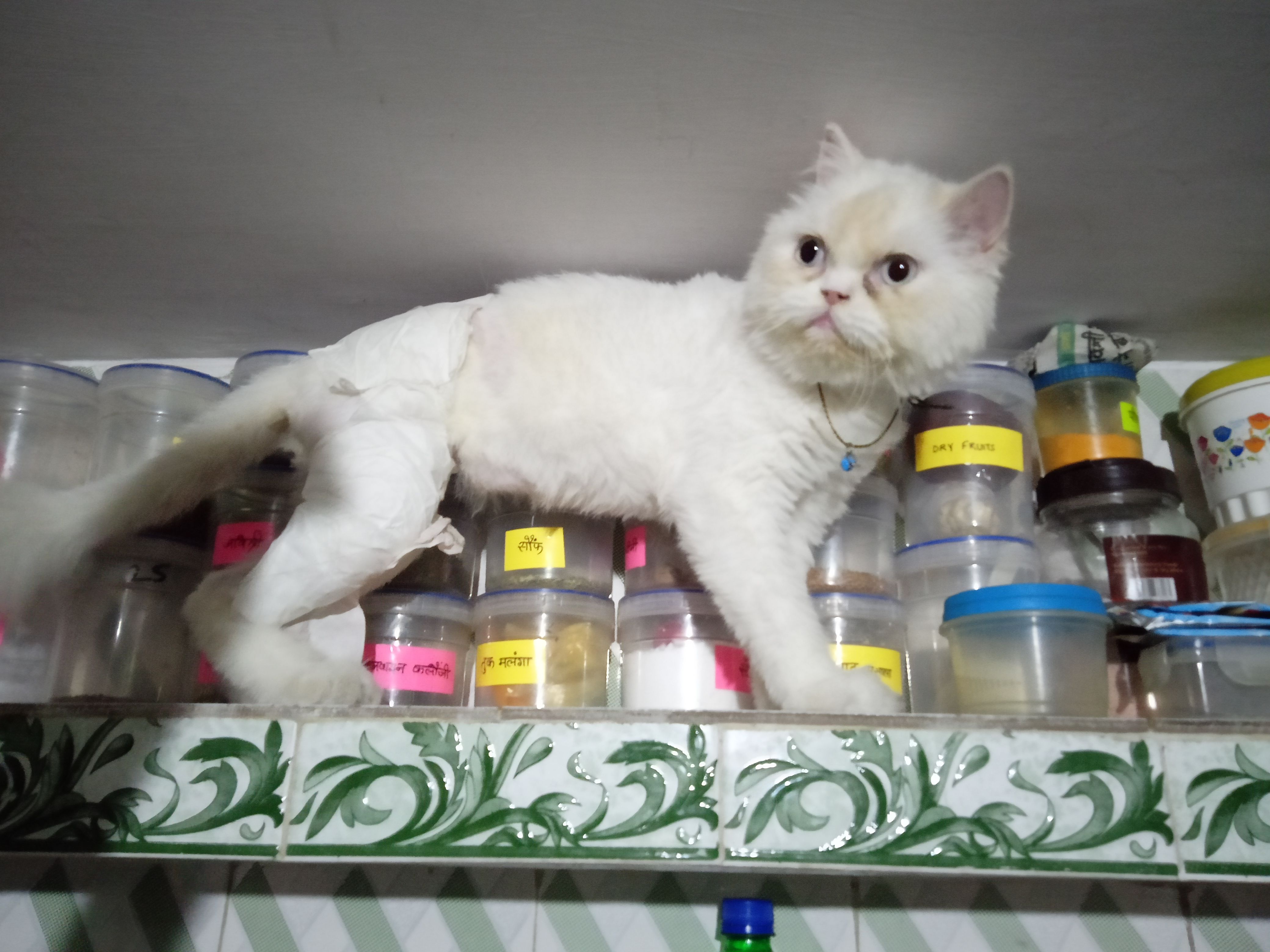 Gullu - Shekhupura Vikas nagar, Lucknow