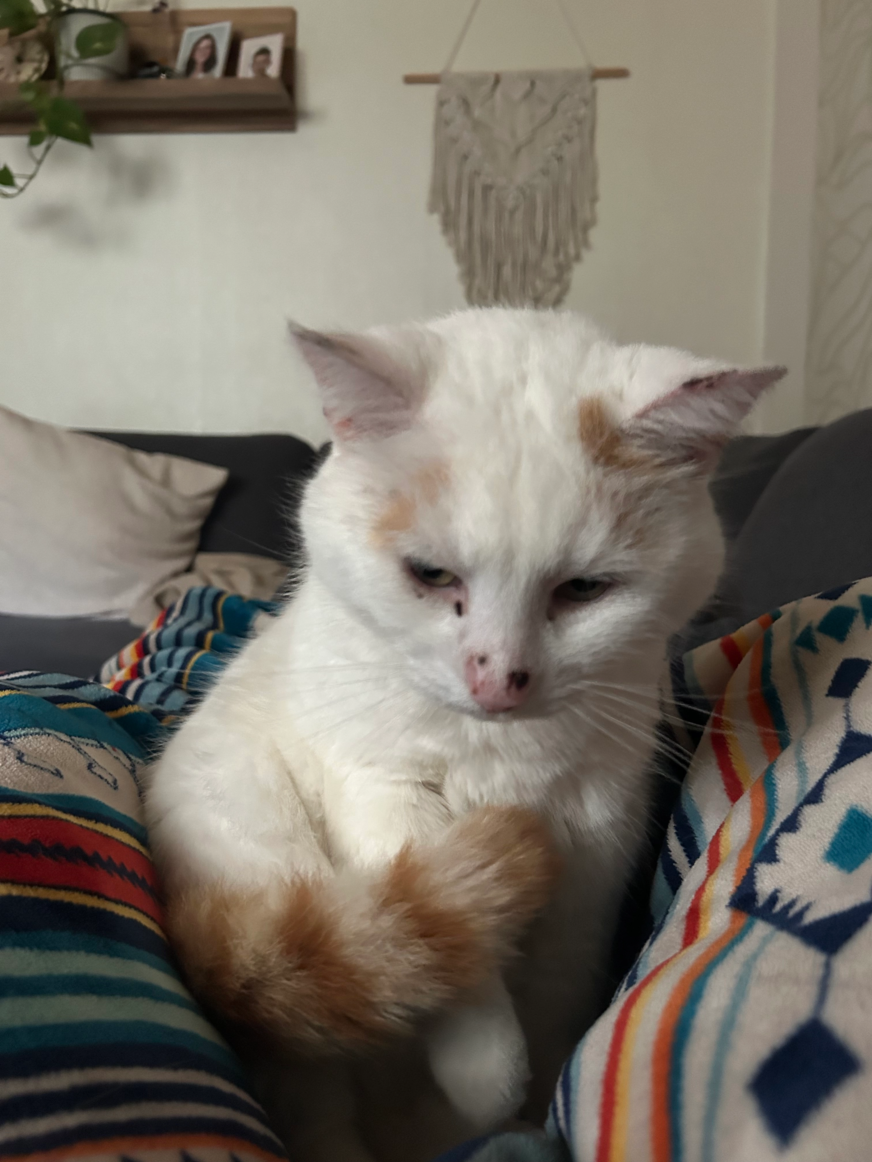 Flocke / Minzie - Fischbacher Kirchstraße, Kaltennordheim