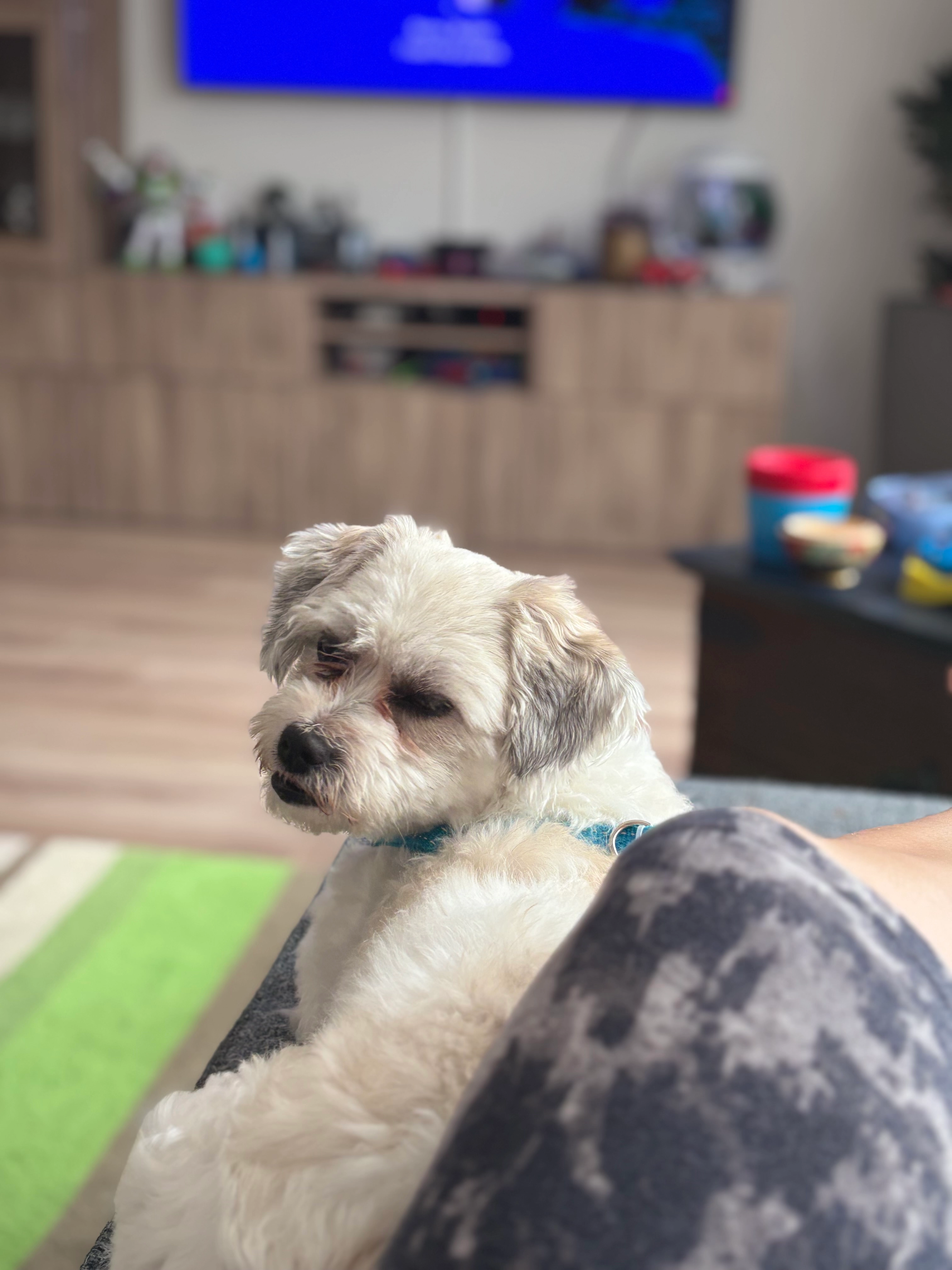 Zoro - Fellowshiplaan, Nootdorp