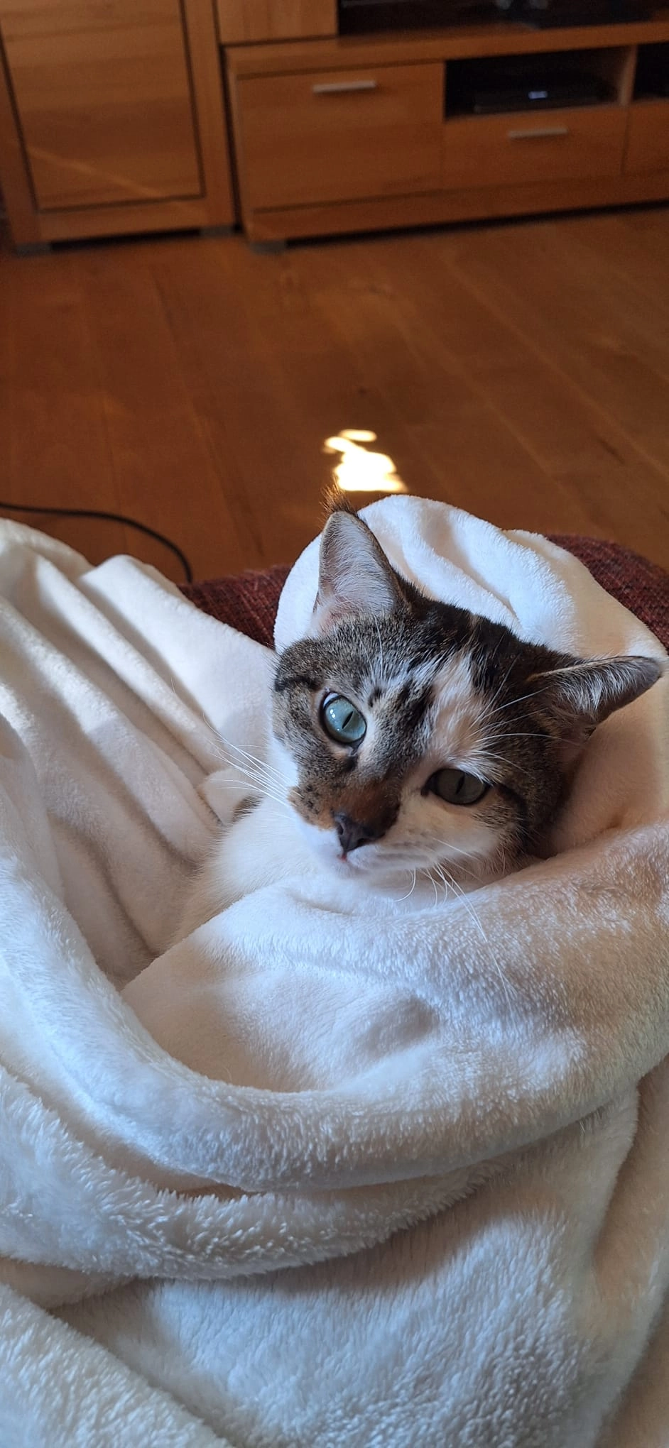 Toni - Im Fritzeeck, Eppelborn