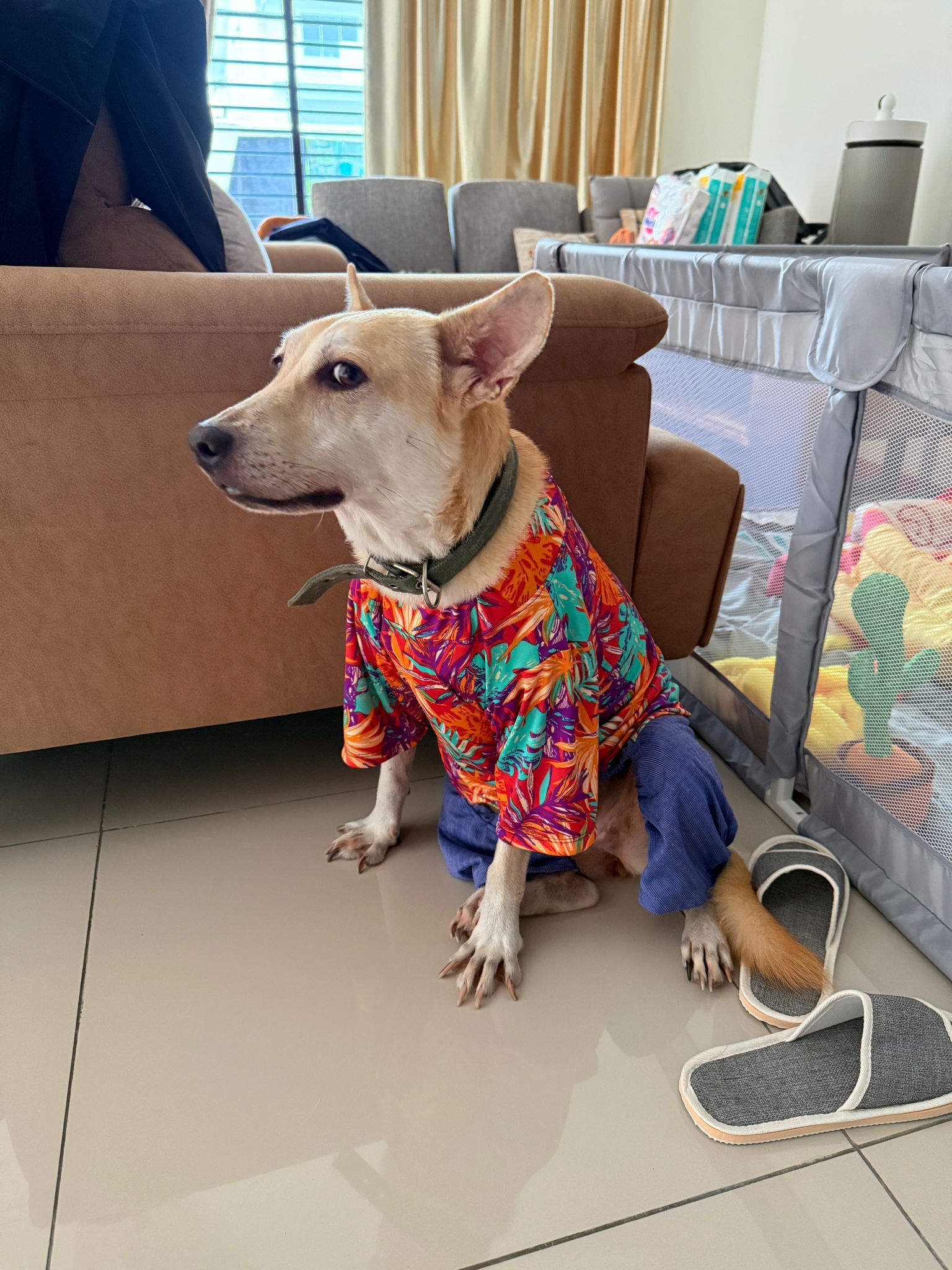 Xiao Ai - Jalan Tasek, Taman Tasek