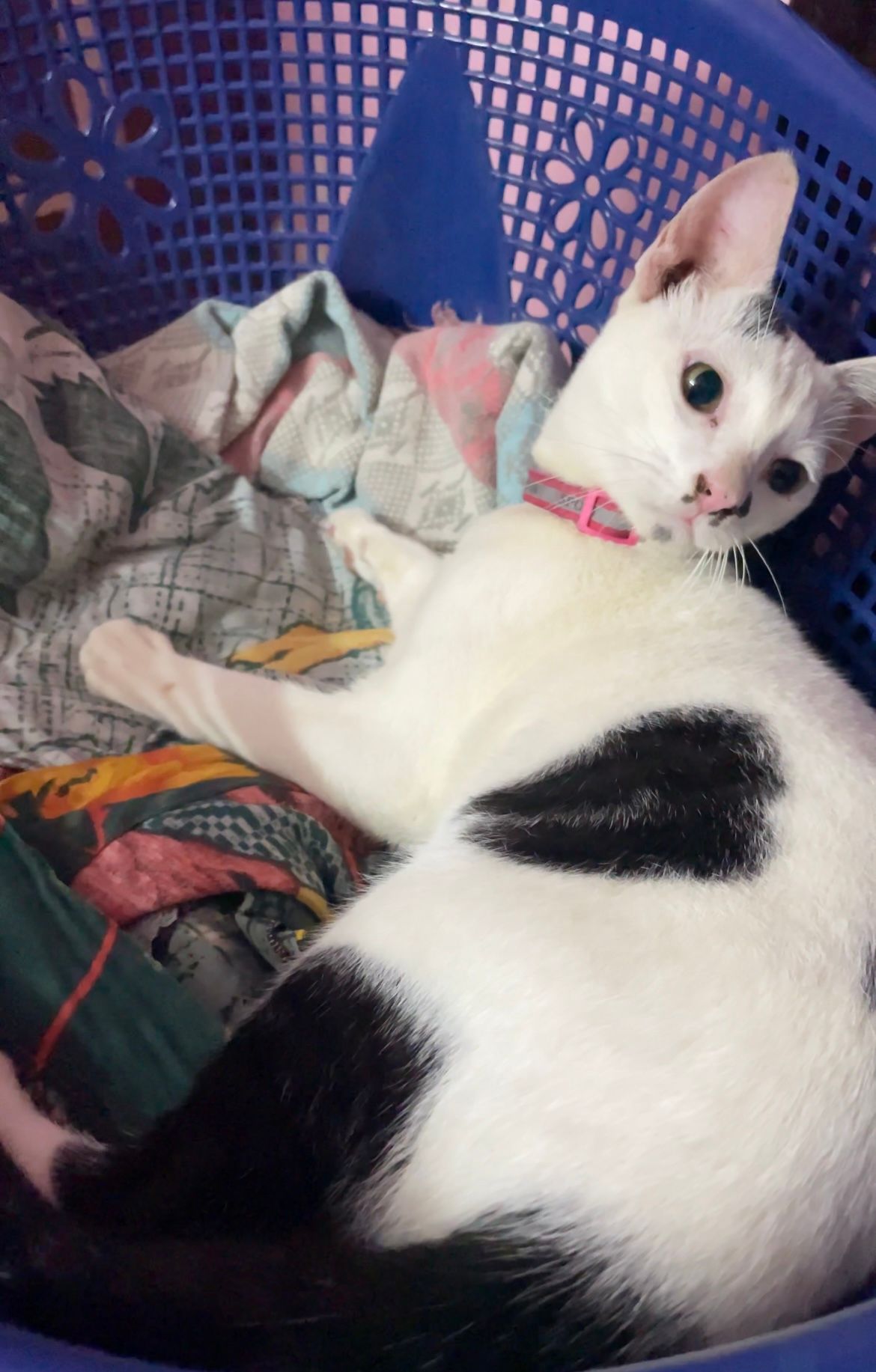 Khalid - Thiruvalluvar Nagar Extension, Chromepet