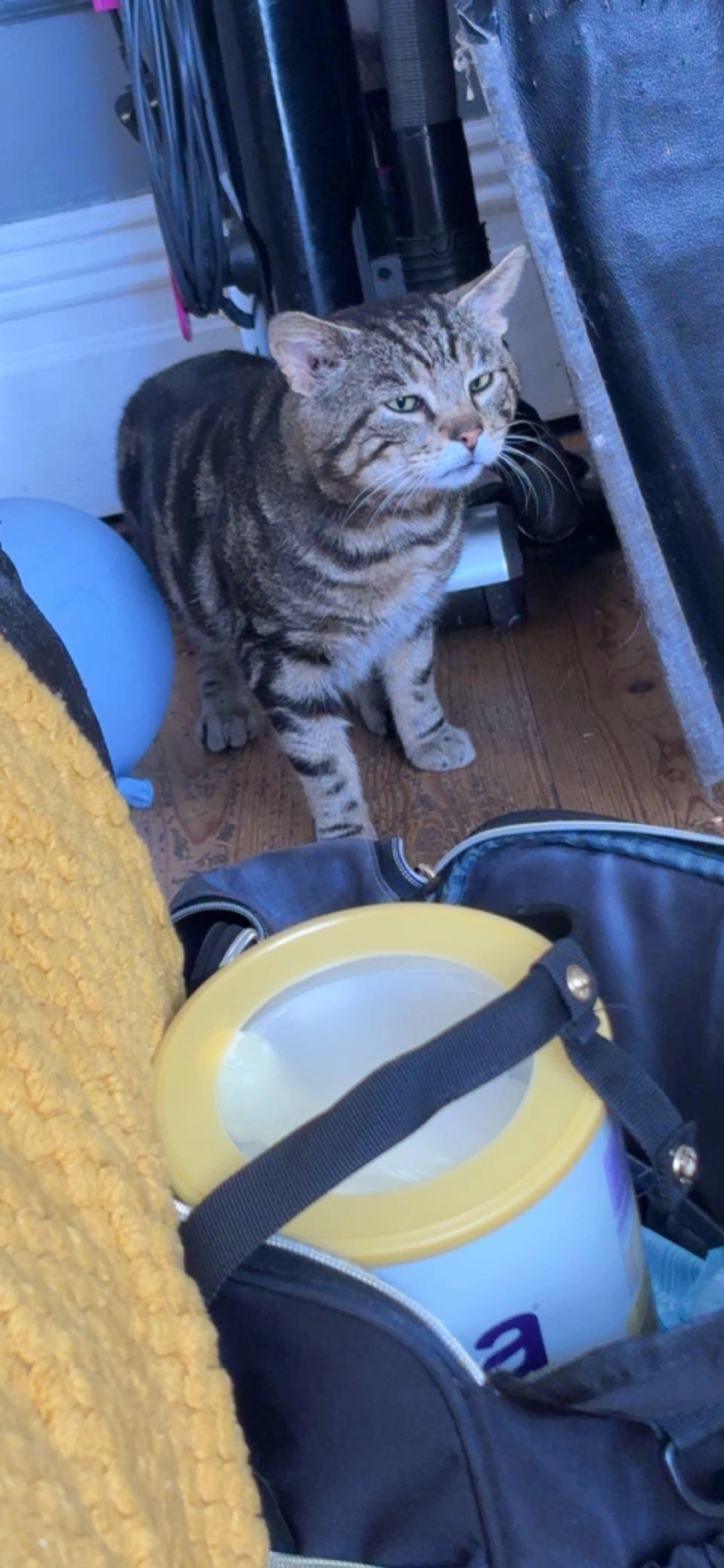 Gramps - Boothroyden, Blackpool