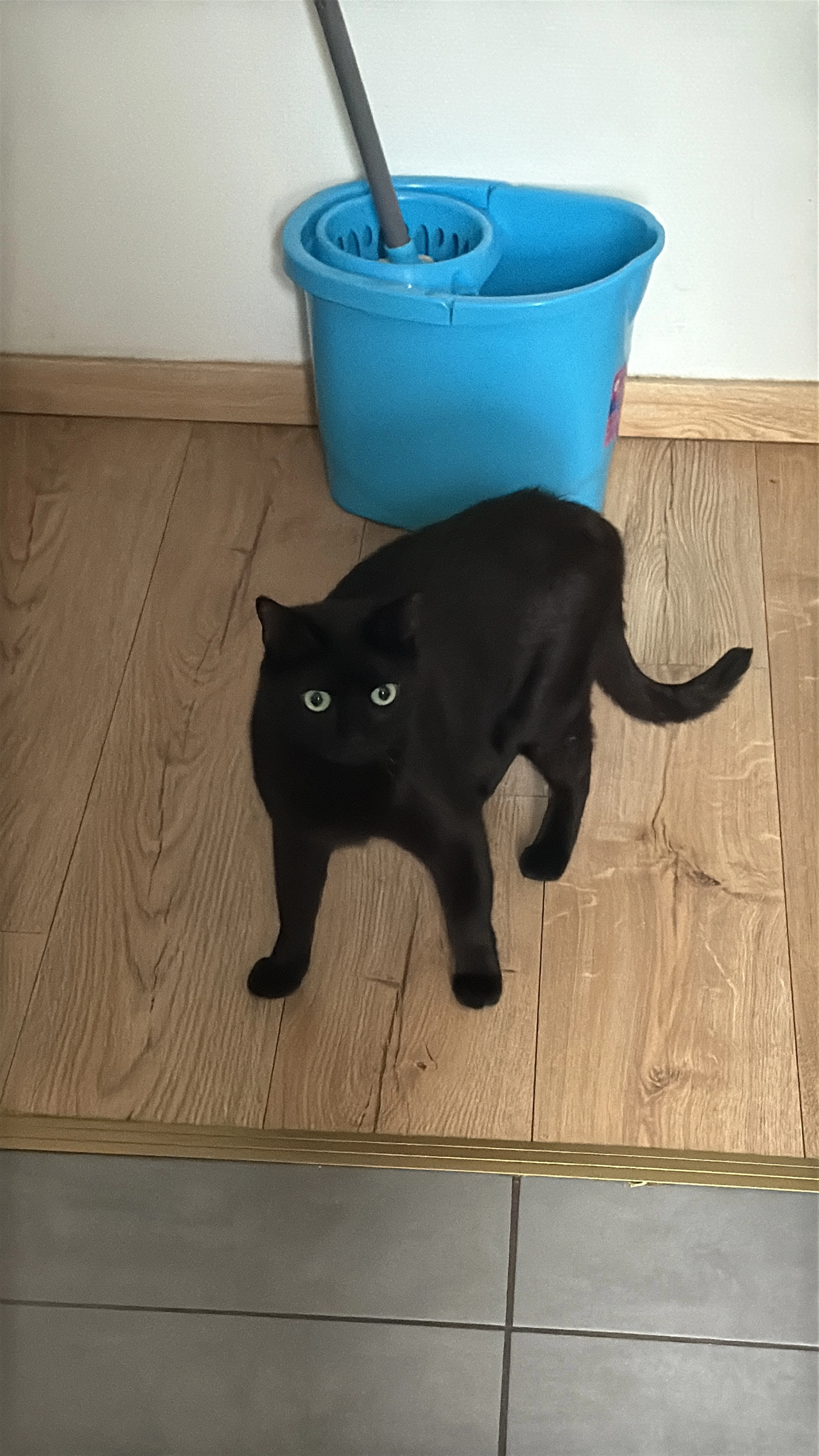 Rulan - 134 Grand'Rue, Haguenau