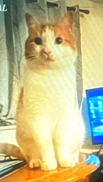 garfield - The Street, Swindon