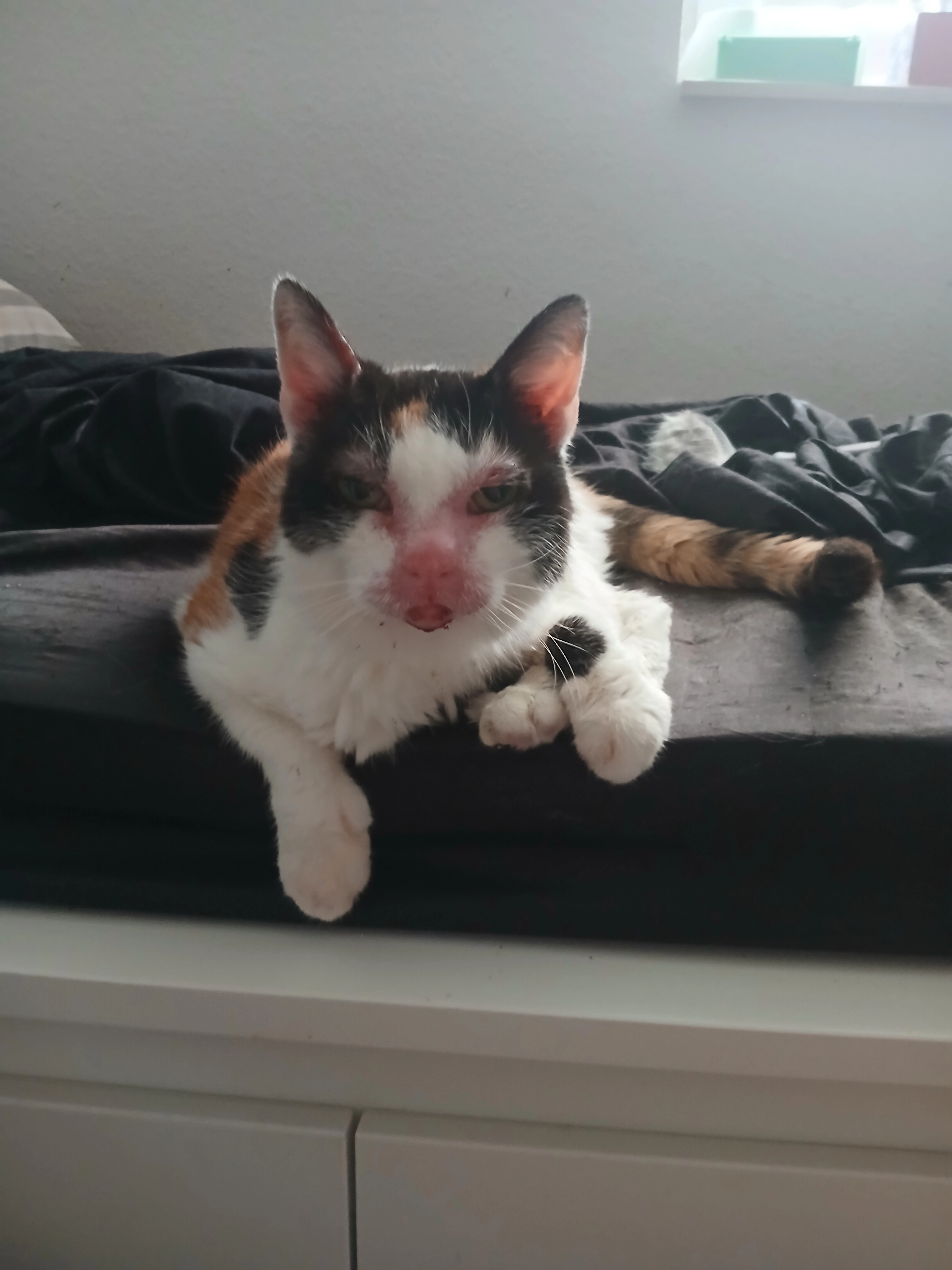 Elas  - Körnerstraße, Weinheim