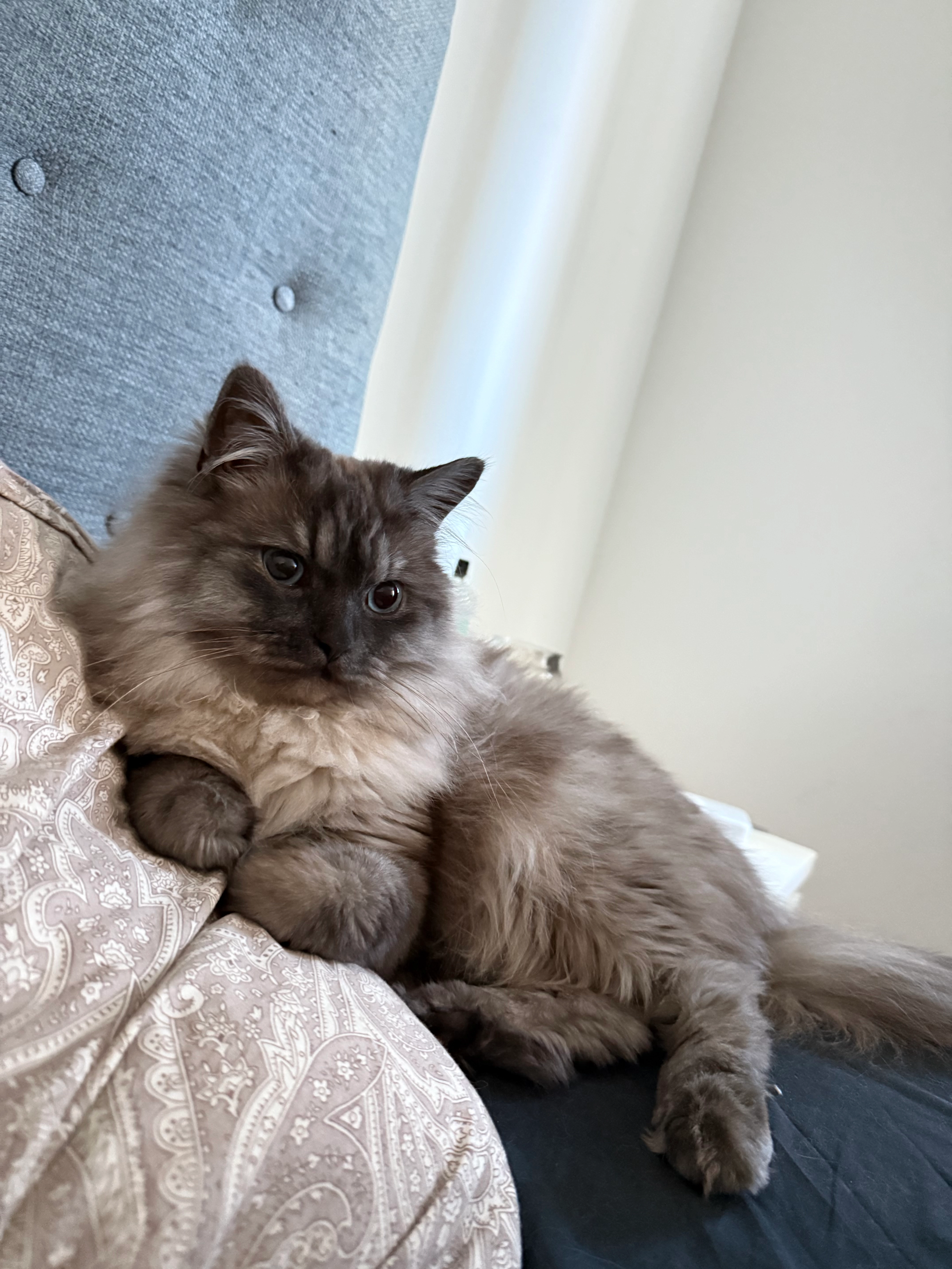 Mio - Wrangelsgatan, Karlskrona