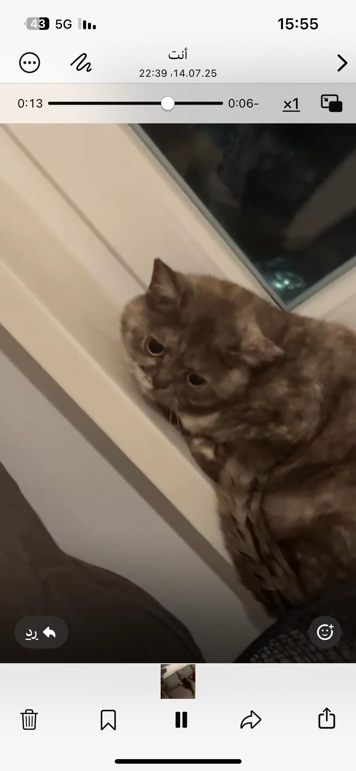 Salsabil - Albstraße, Stuttgart