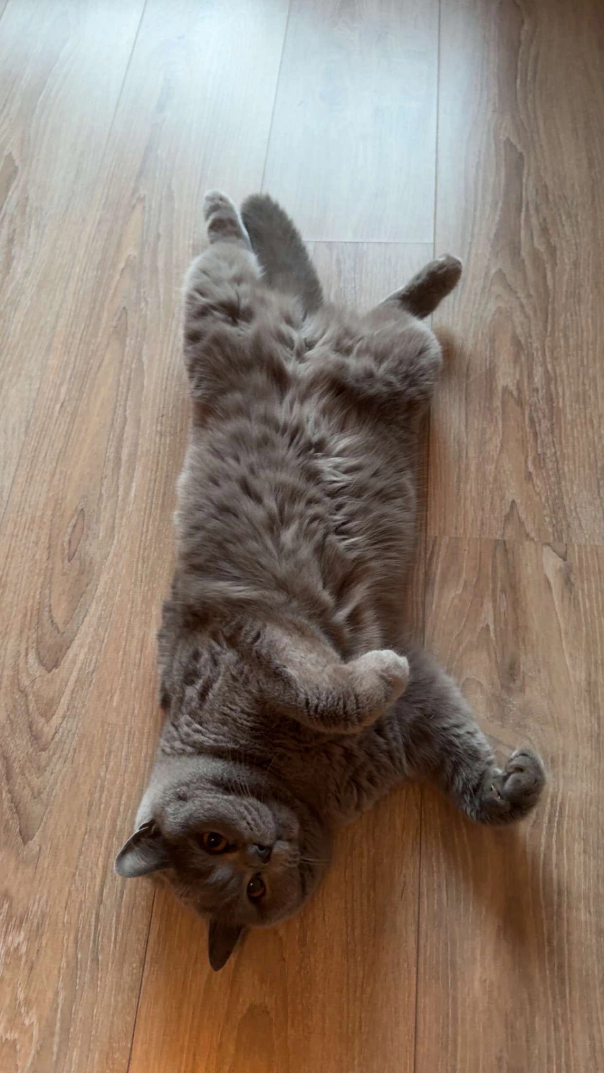 Linda - Frankenring, Erkelenz