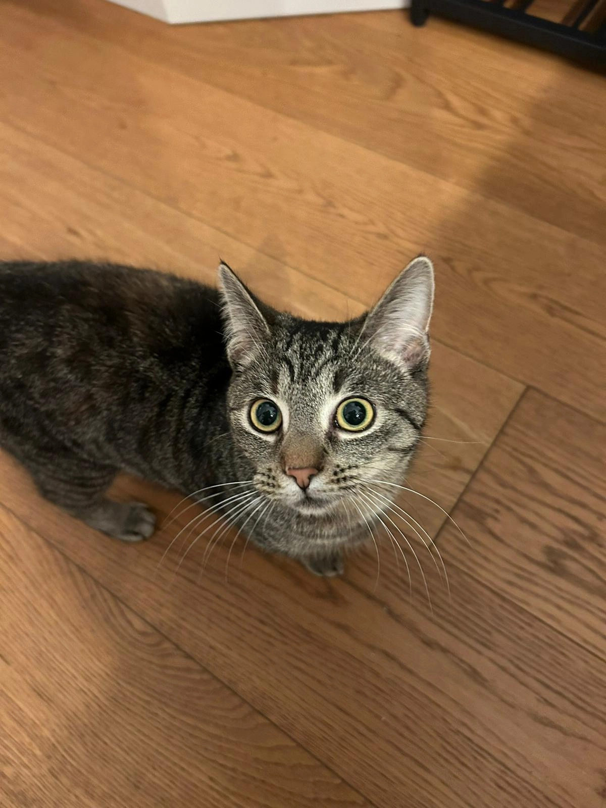 Mia - Sögelner Bahnhofstraße, Bramsche