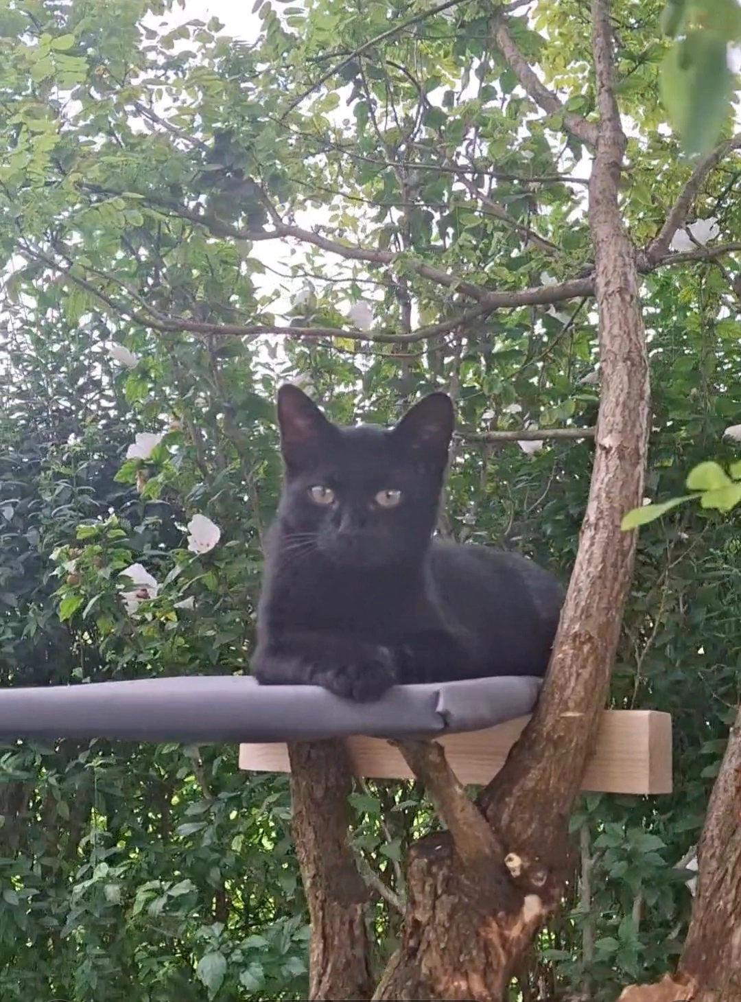 Luigi  - Stöbernweg, Meiningen