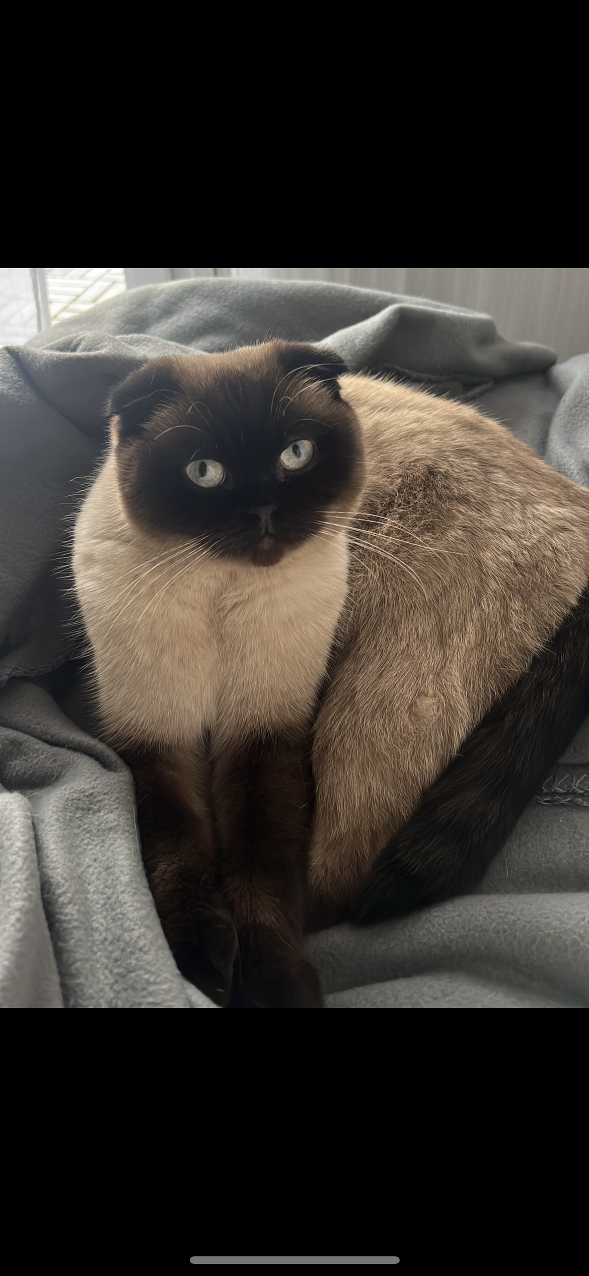 Milo - Peterstaler Straße, Heidelberg