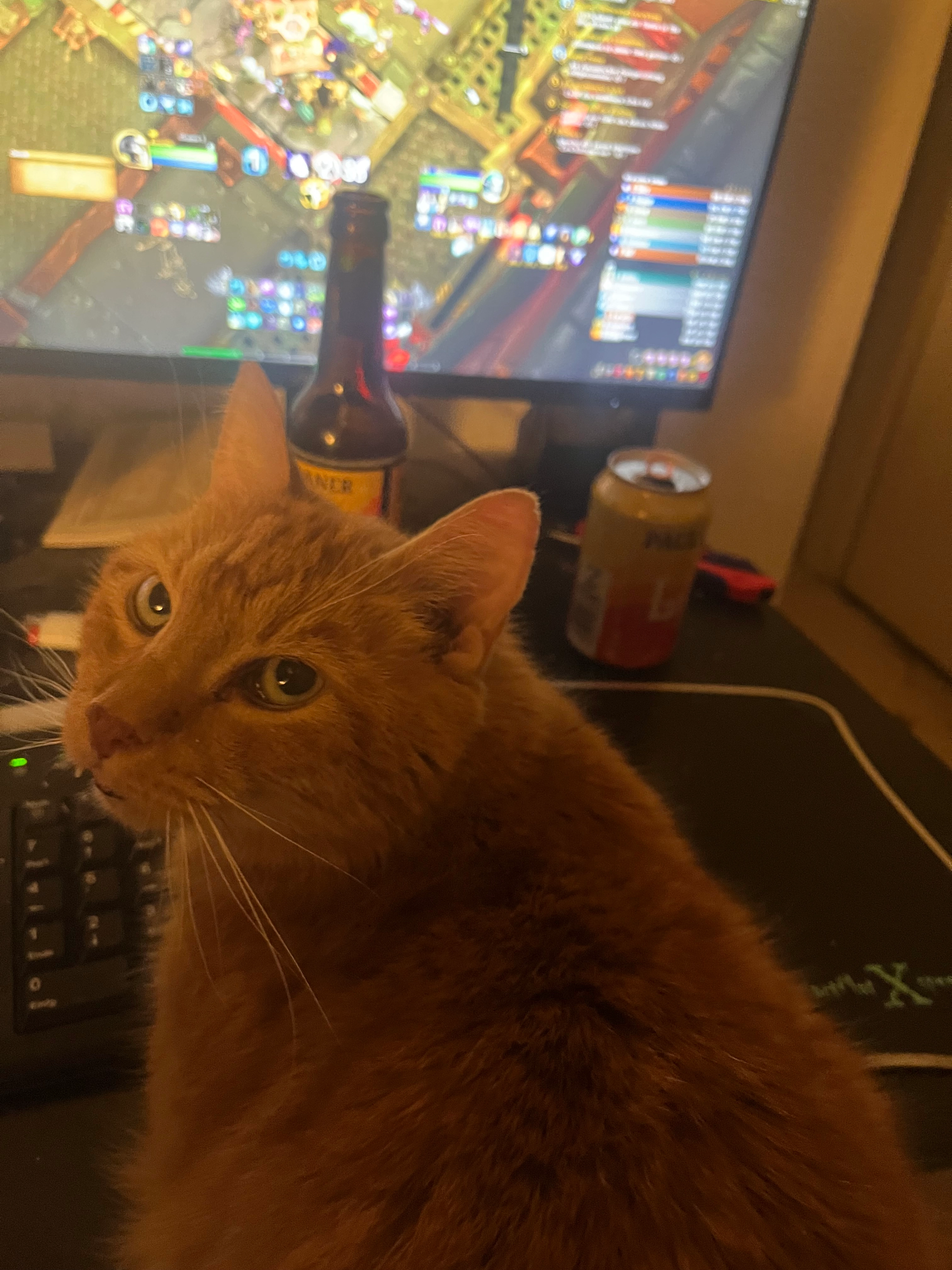 Garfield - Sonnenweg 9, Lauenburg/Elbe