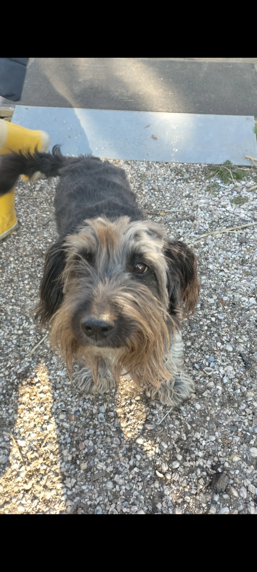 Kiki - Liniepad, Velserbroek