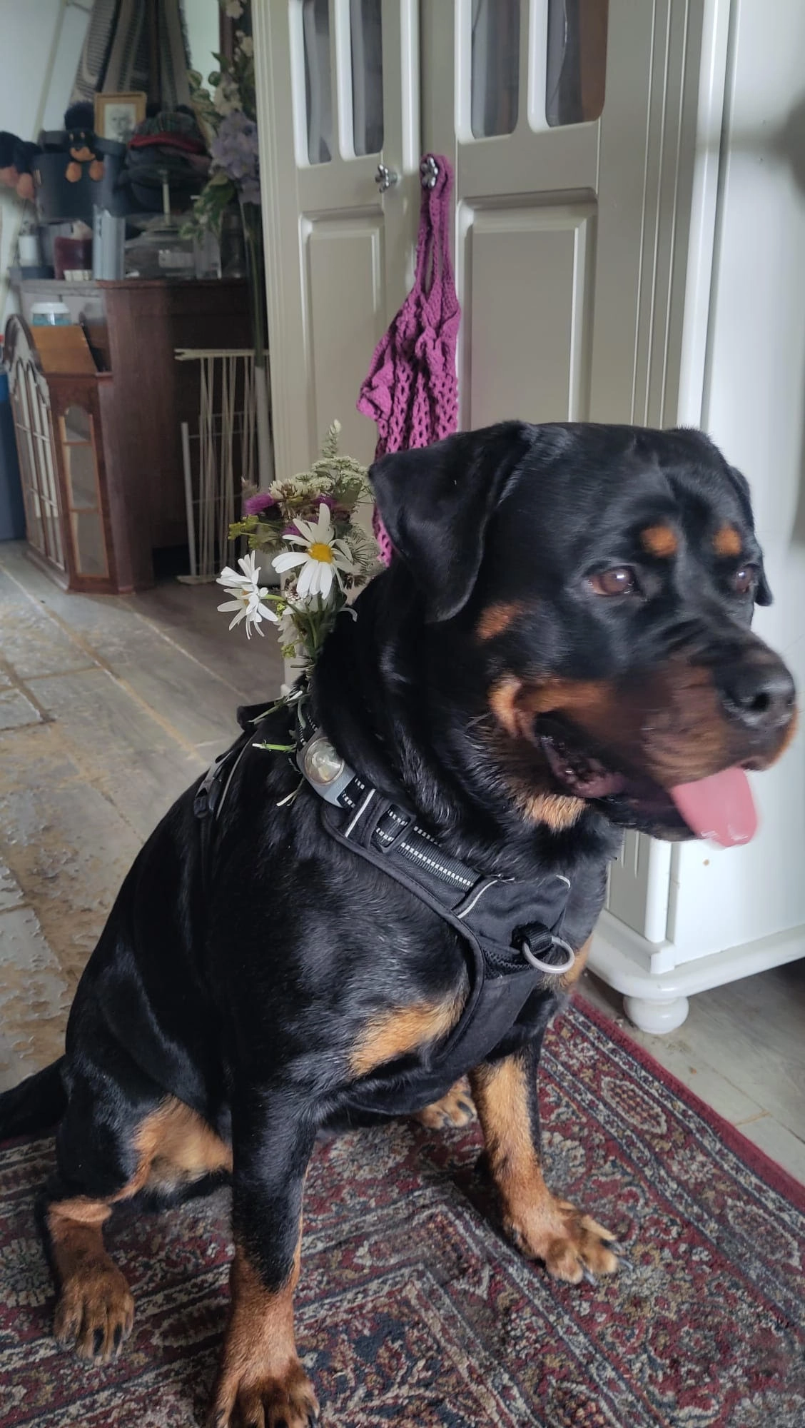 Donna - Beinsdorpstraat, Nieuw Vennep