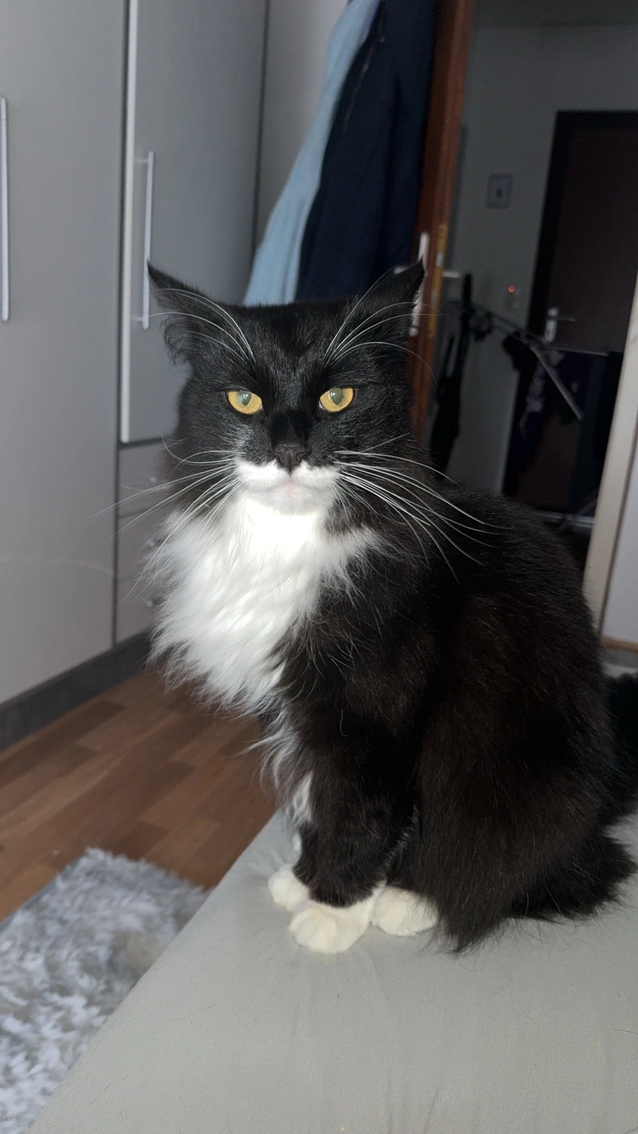 Oskar - Im Stockwoog, Kindsbach