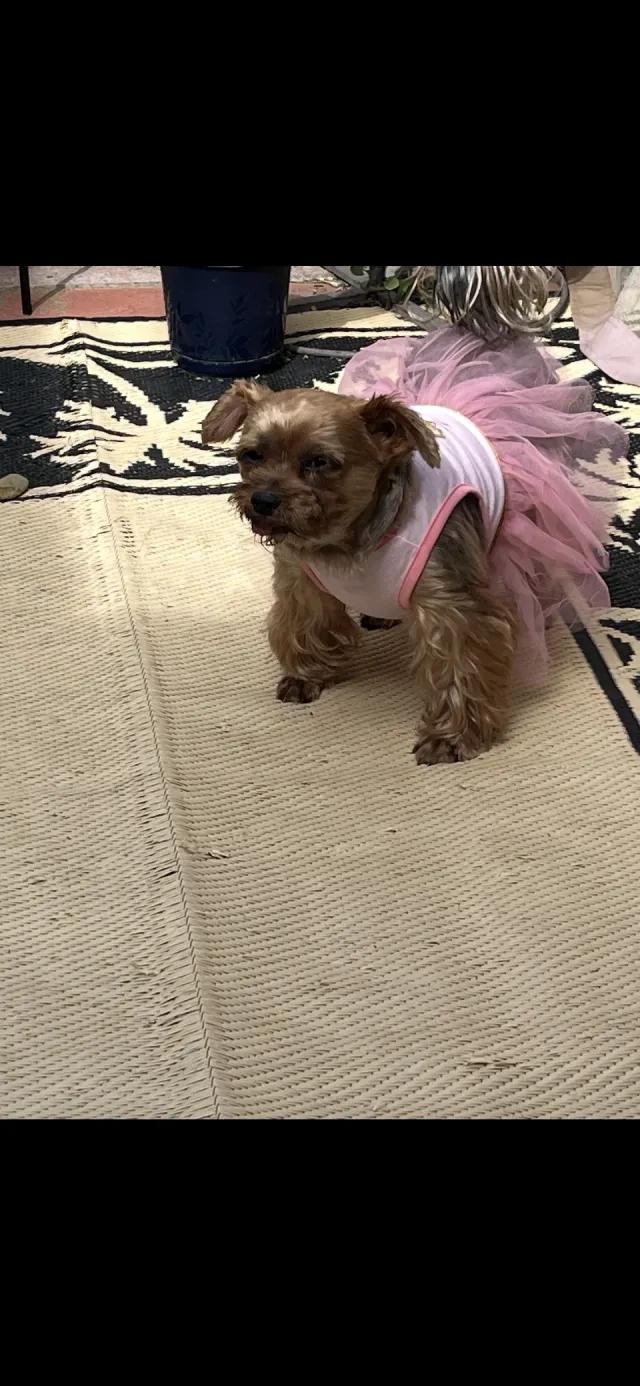Chloe - Cherry Street, Antioch
