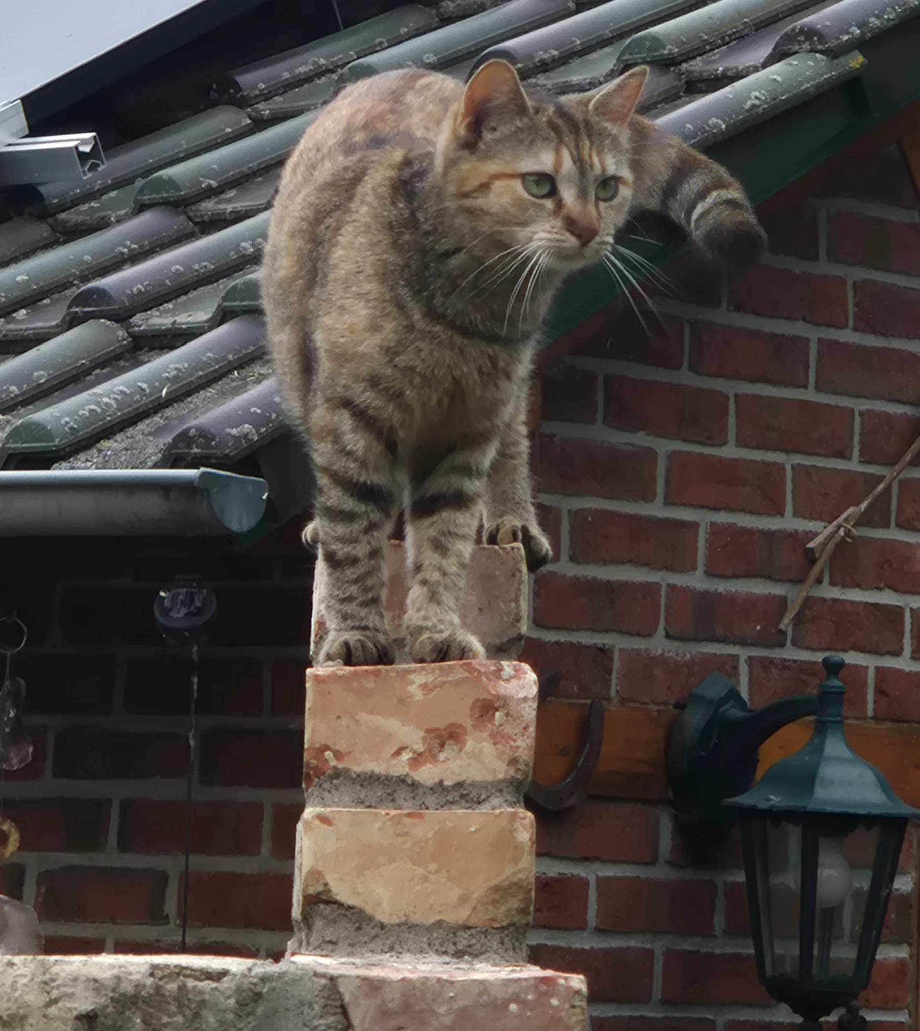 Bounty - Emmastraße, Helmstedt