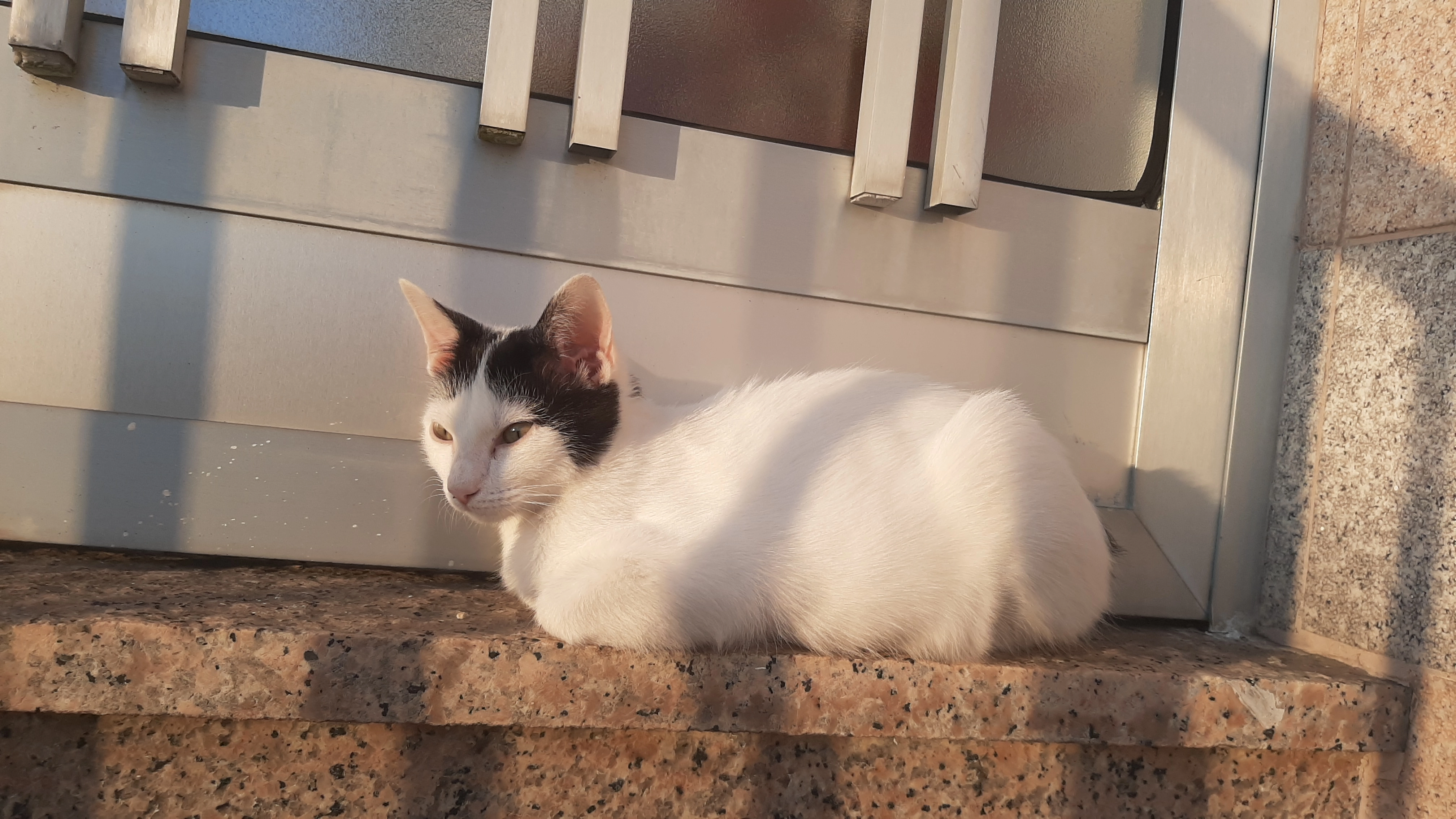 Minka - Camino de Luqueiro, Vigo