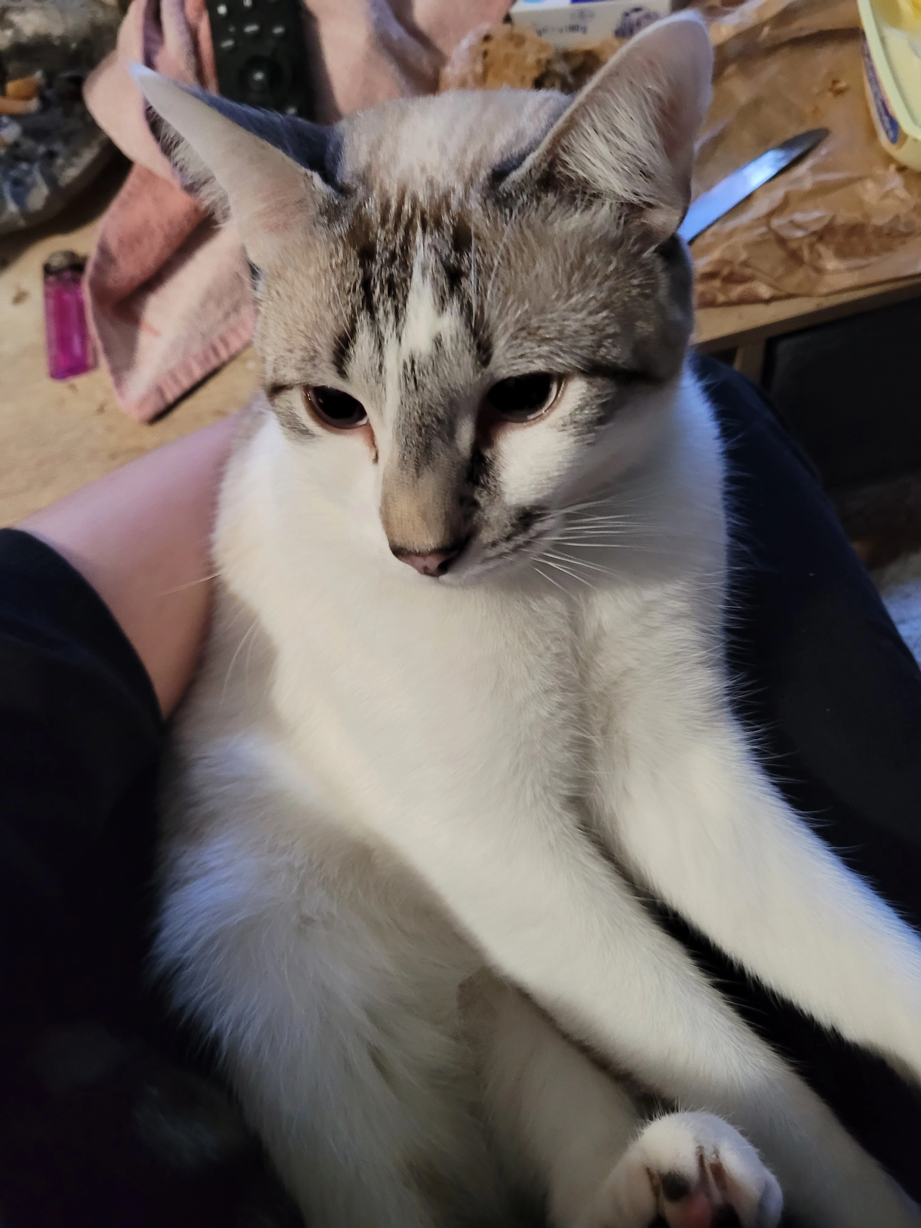 Chapitre - Rue Sainte-Consuelo, Jœuf