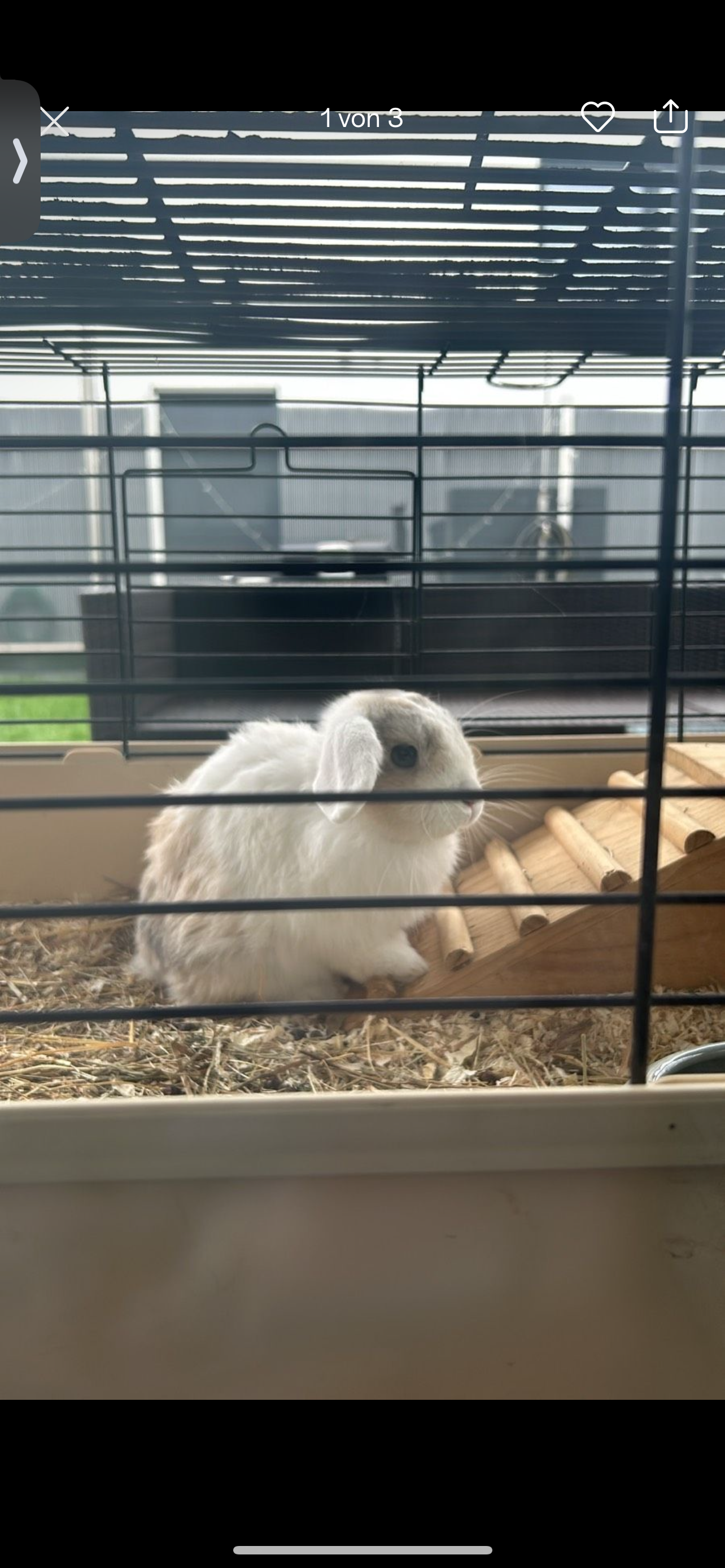 Muffy - Grünenbergstraße, Baindt